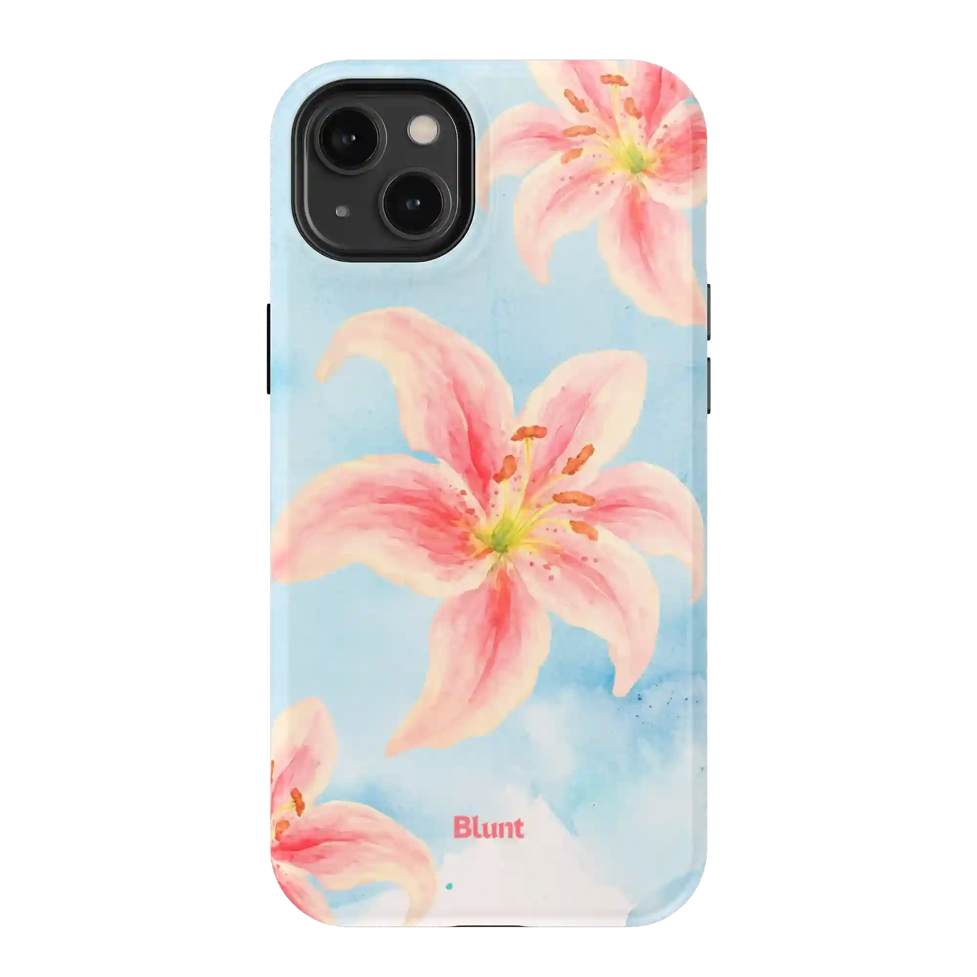 bluntcasesus.it.com