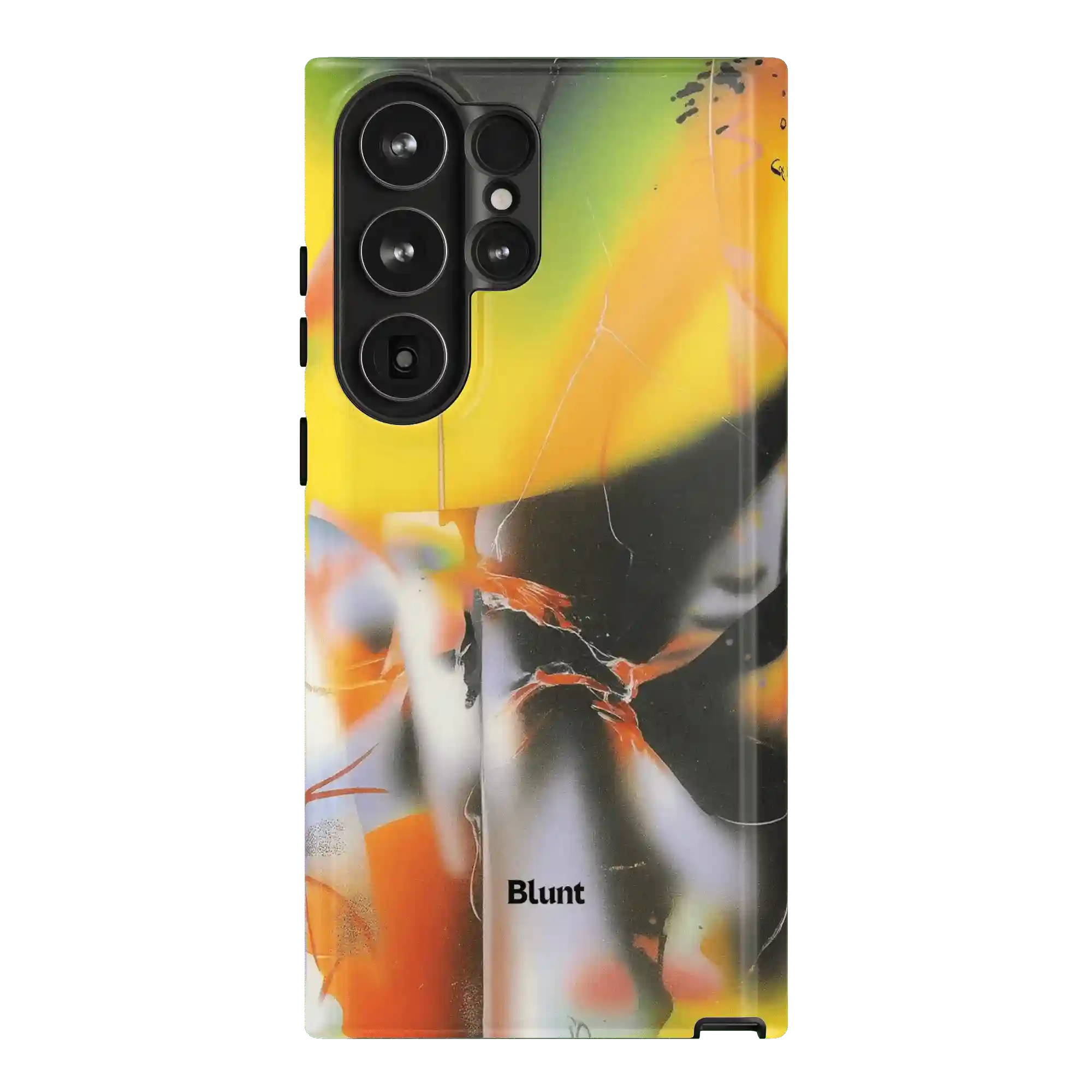 bluntcasesus.it.com