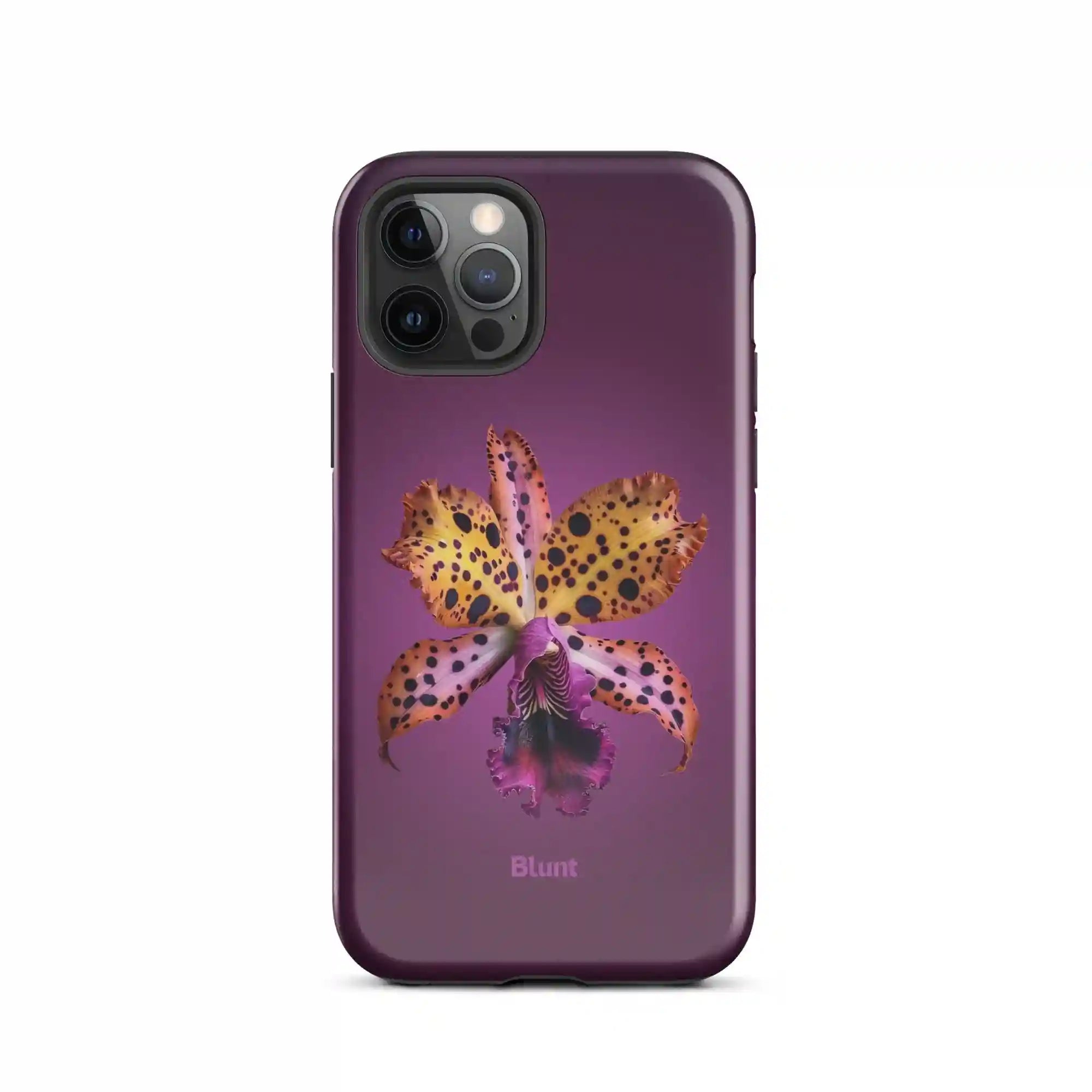 bluntcasesus.it.com