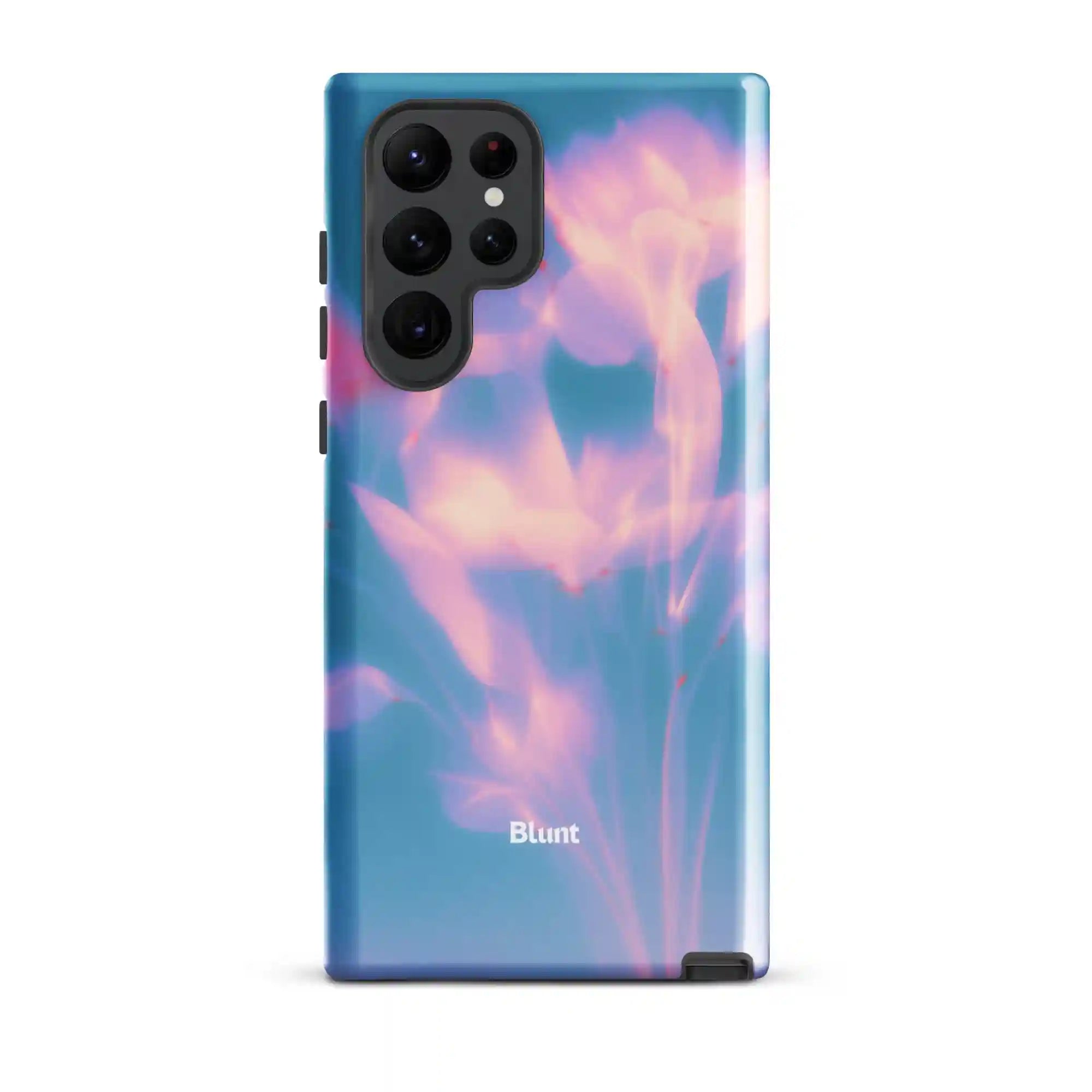 bluntcasesus.it.com