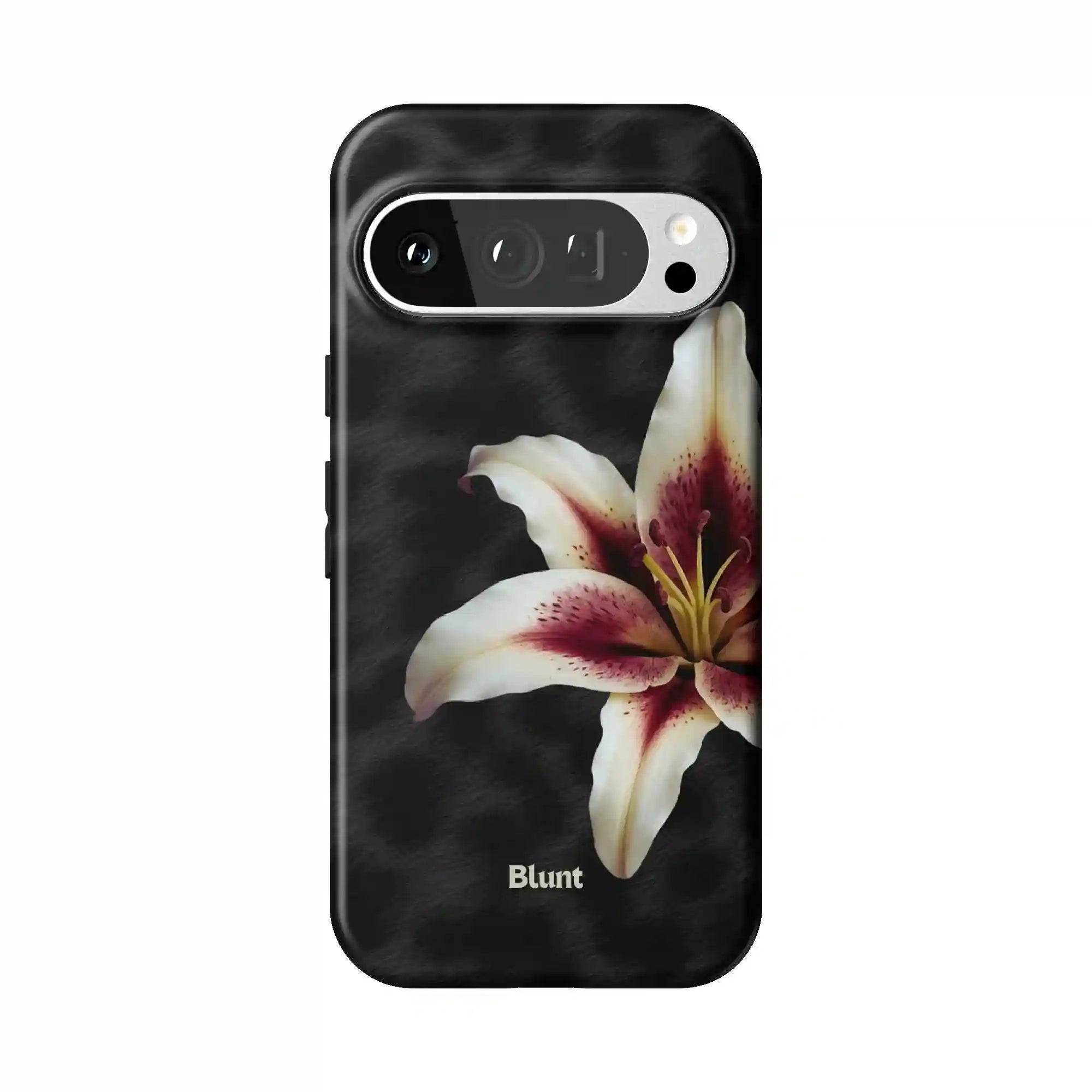bluntcasesus.it.com