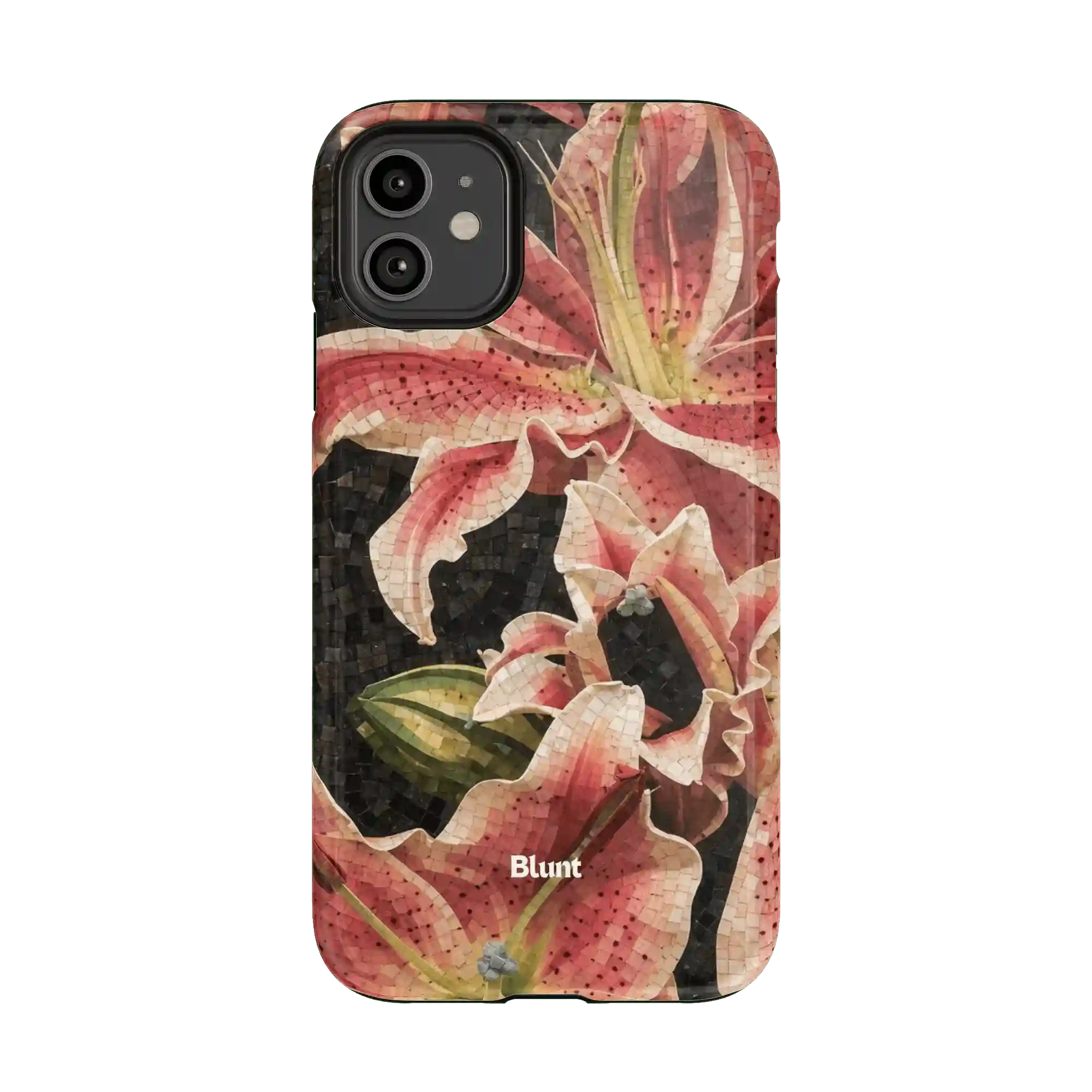 bluntcasesus.it.com