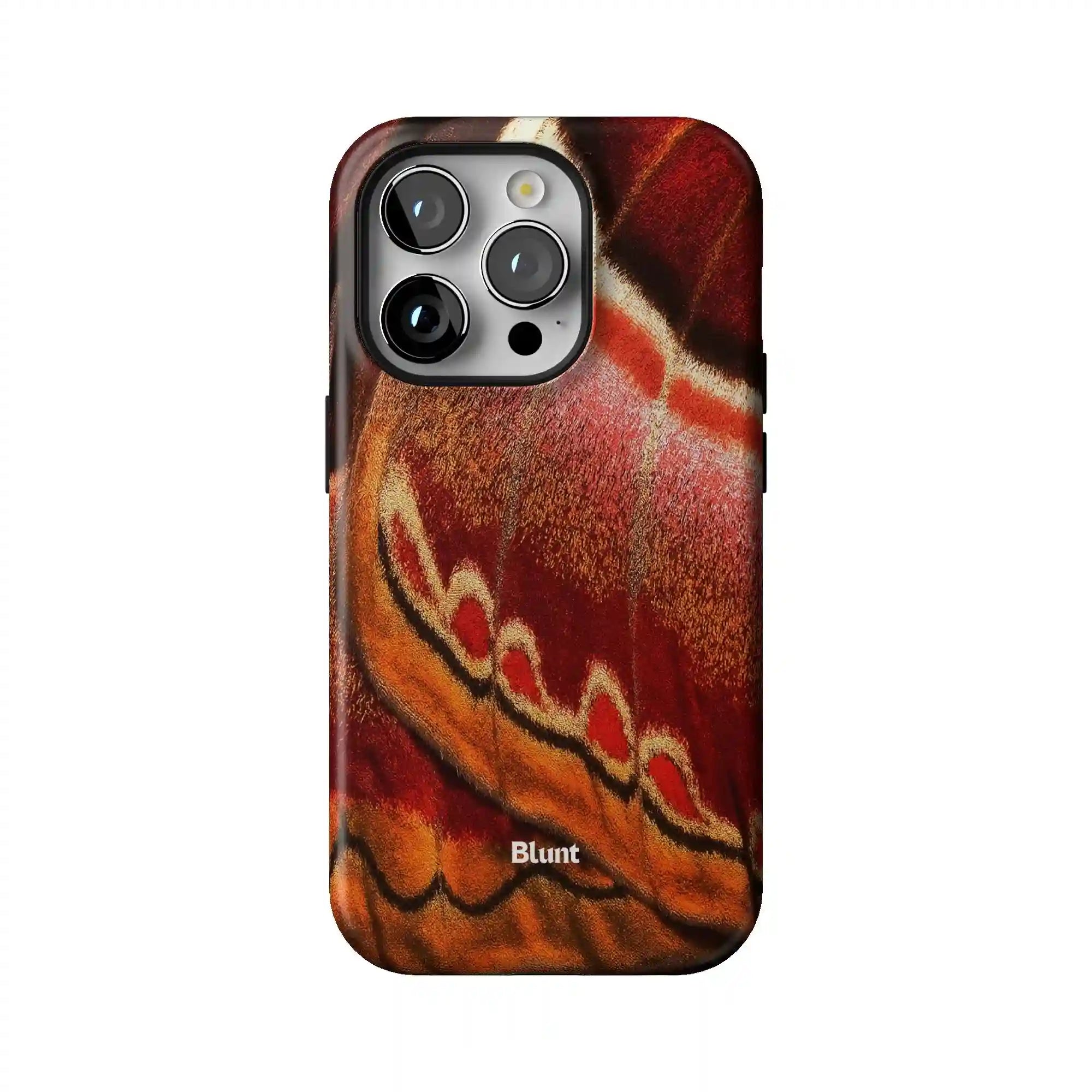 bluntcasesus.it.com