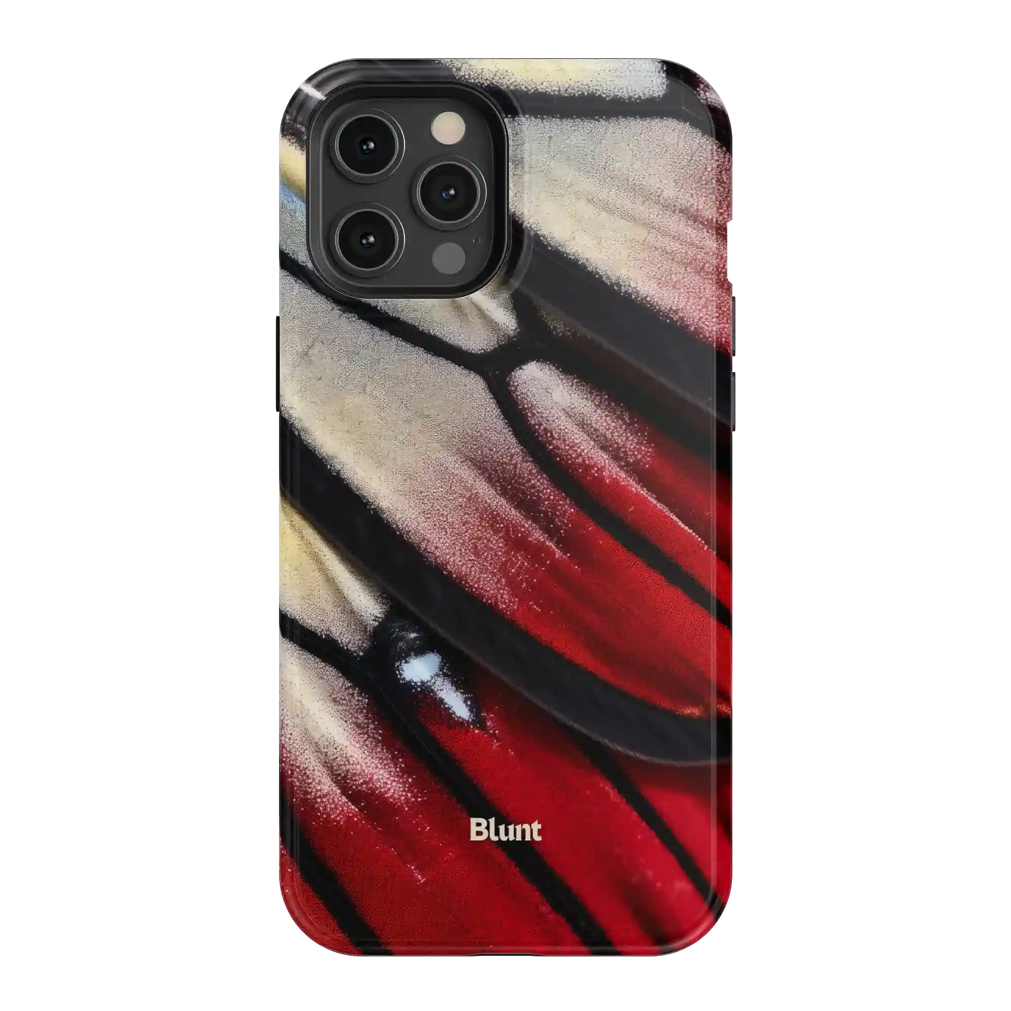 bluntcasesus.it.com