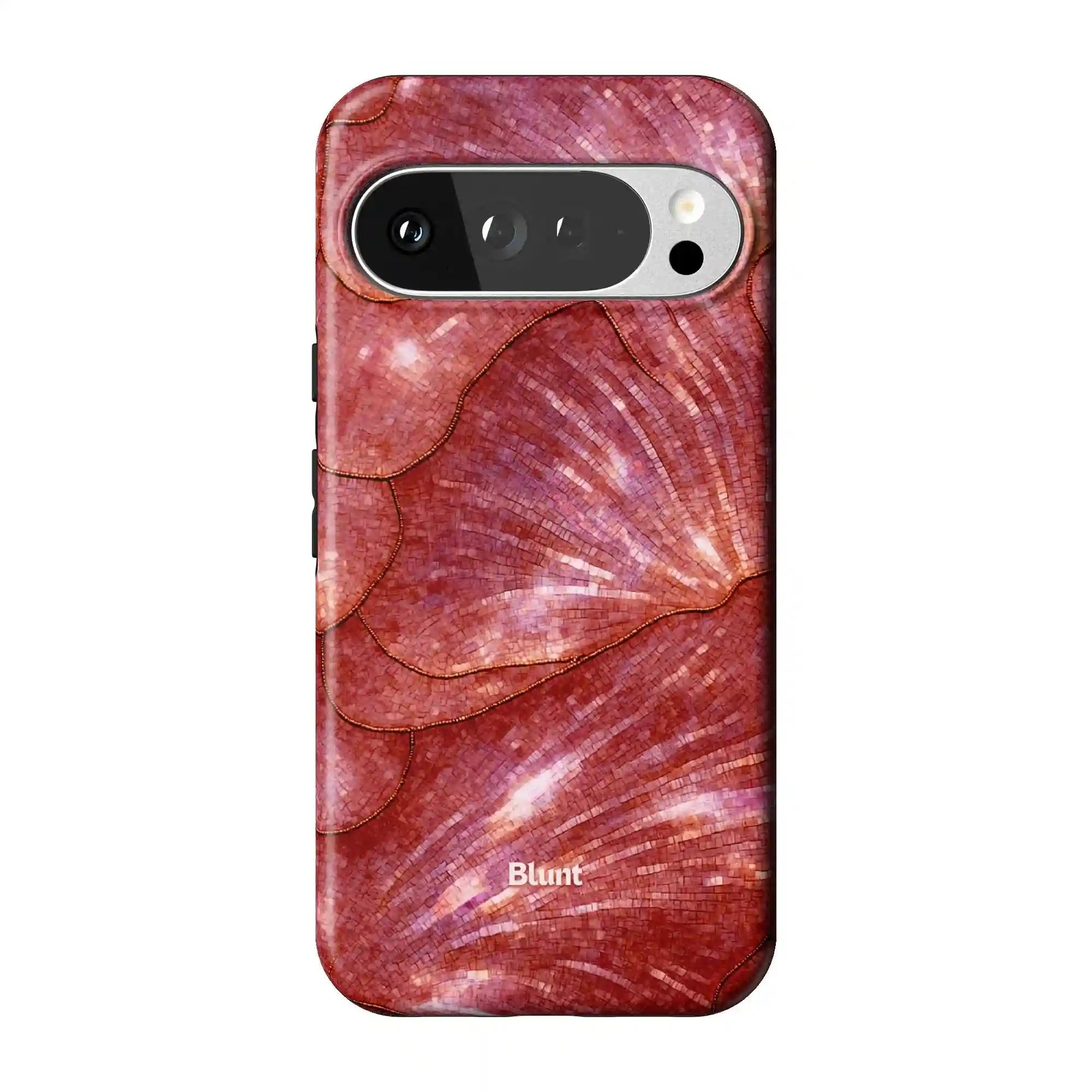 bluntcasesus.it.com