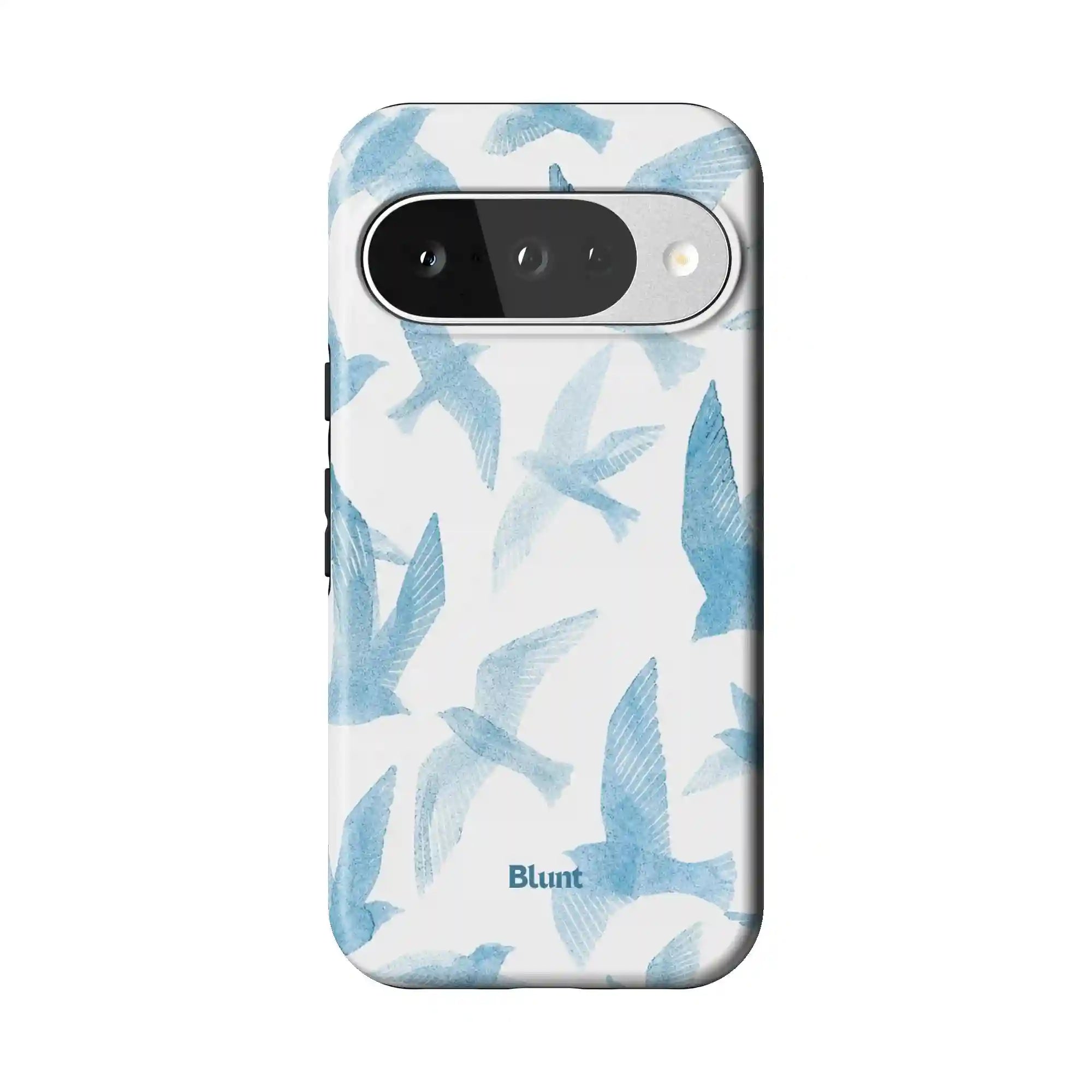bluntcasesus.it.com
