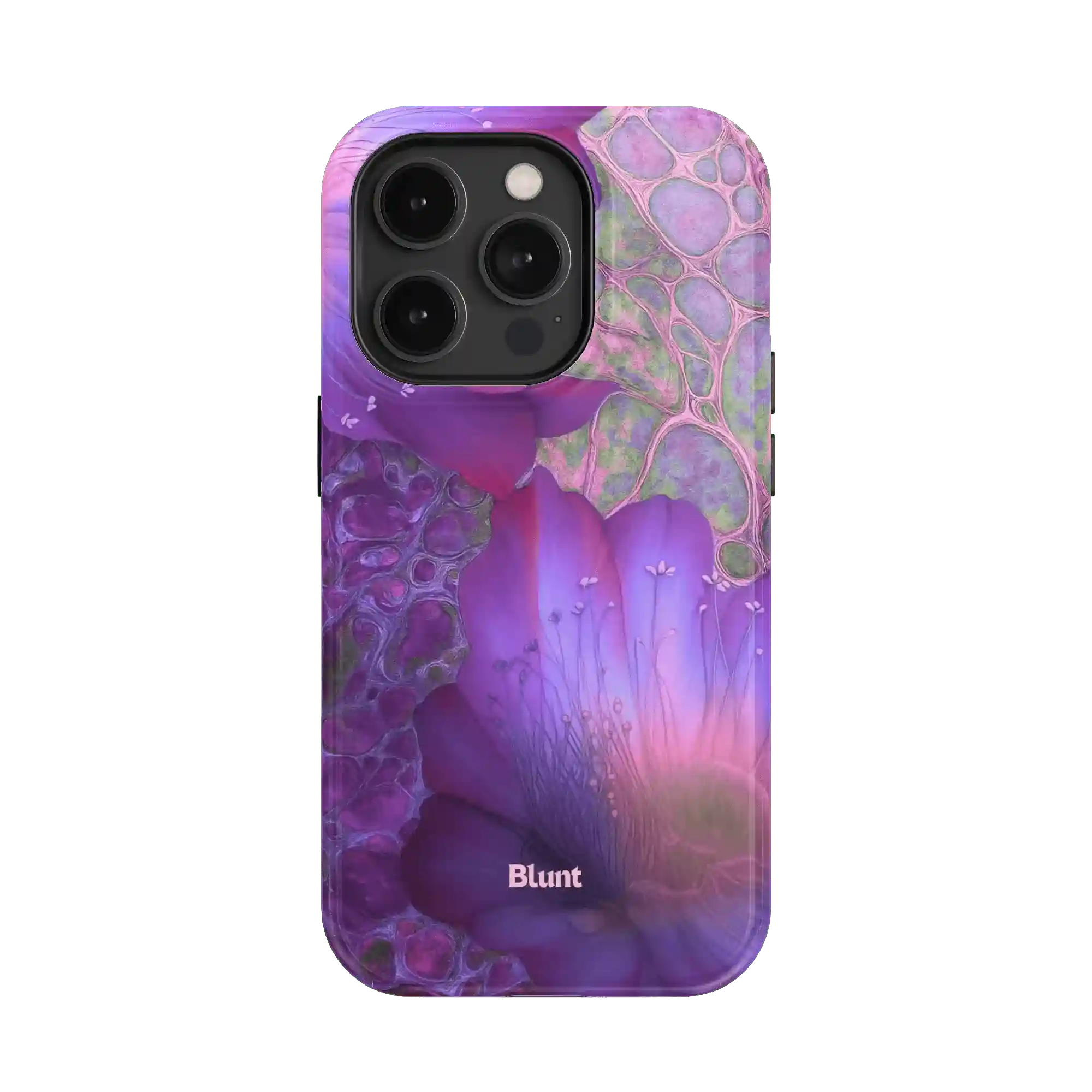 bluntcasesus.it.com