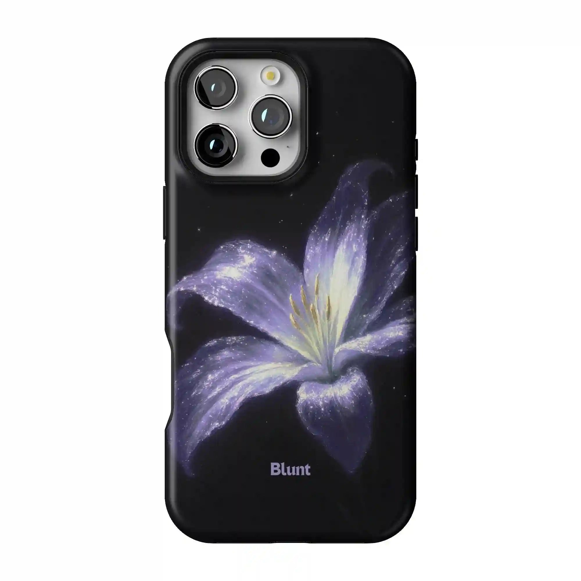 bluntcasesus.it.com