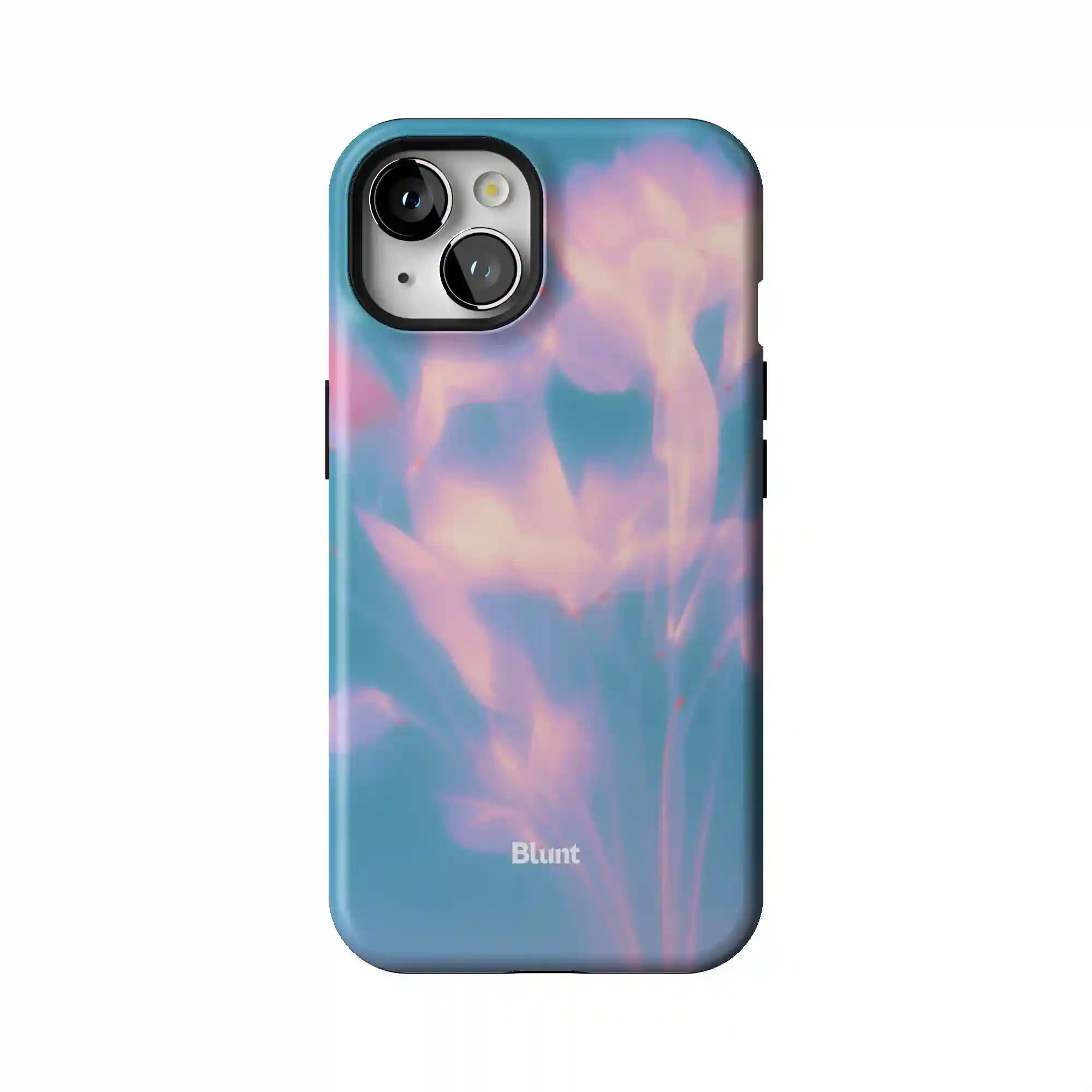 bluntcasesus.it.com
