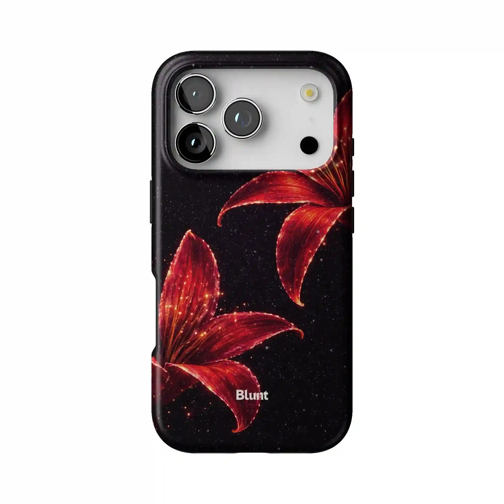 bluntcasesus.it.com