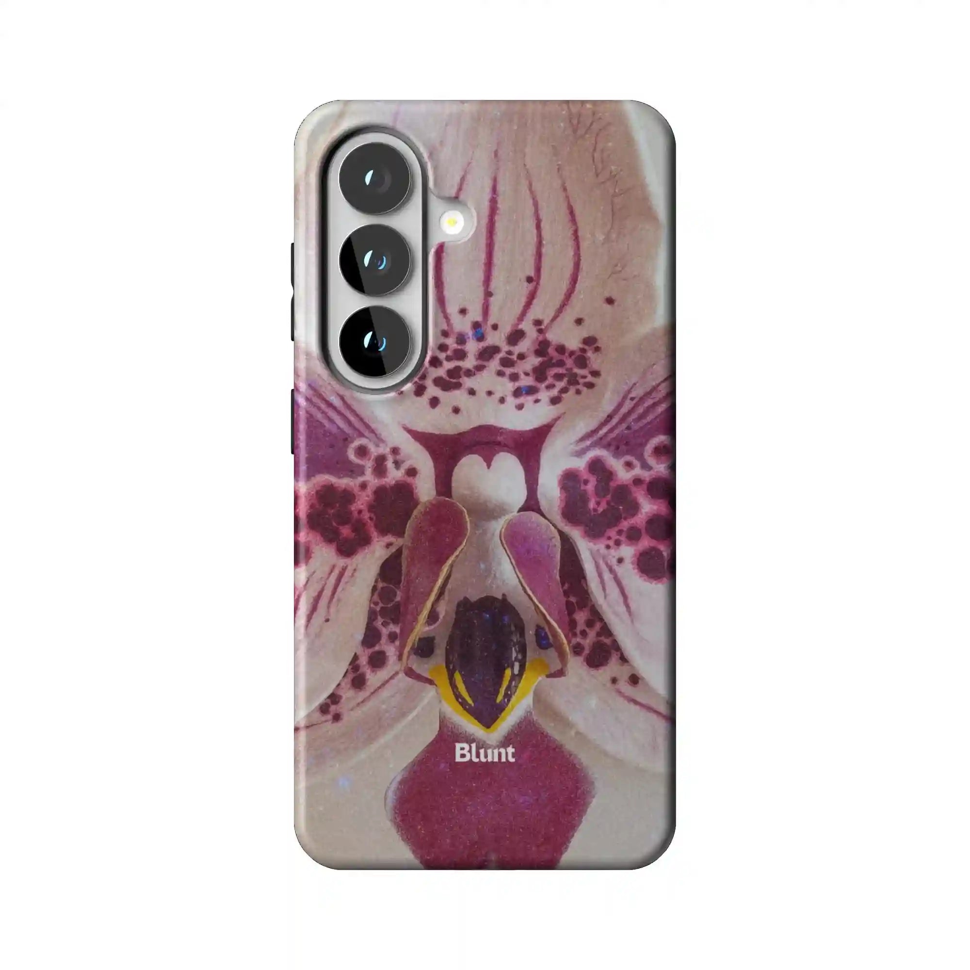 bluntcasesus.it.com