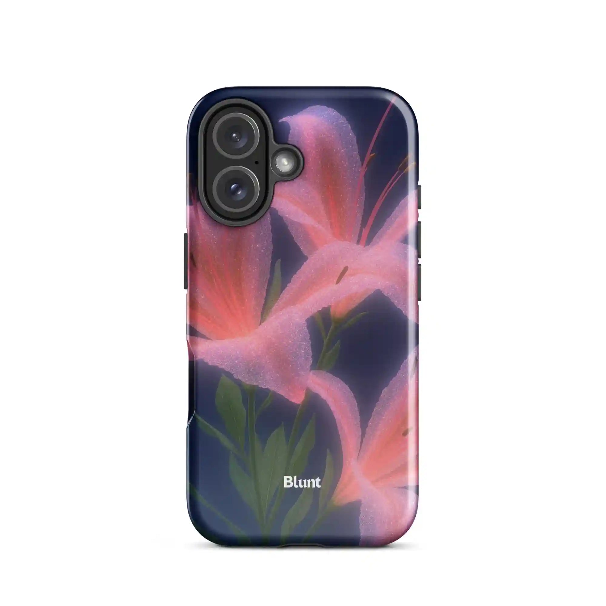 bluntcasesus.it.com