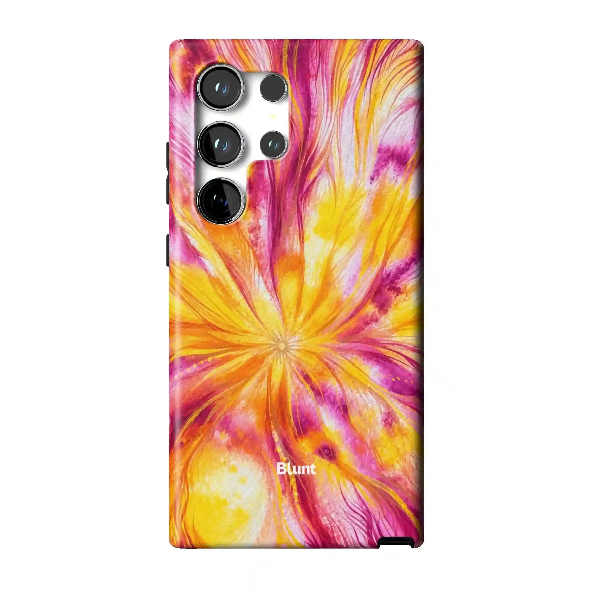 bluntcasesus.it.com