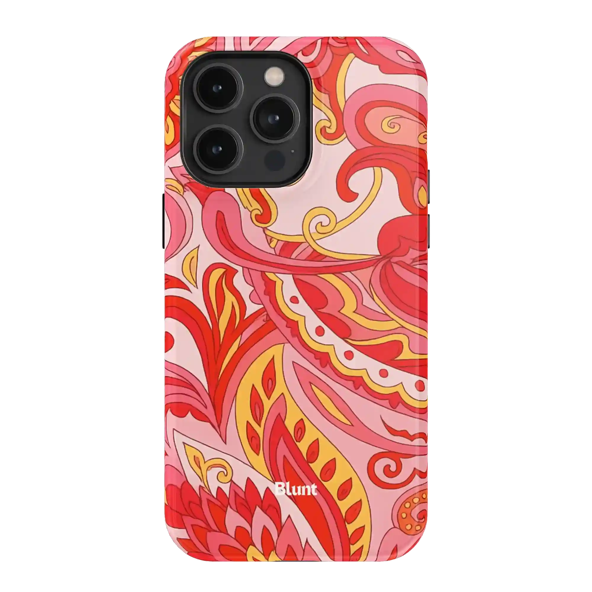 bluntcasesus.it.com