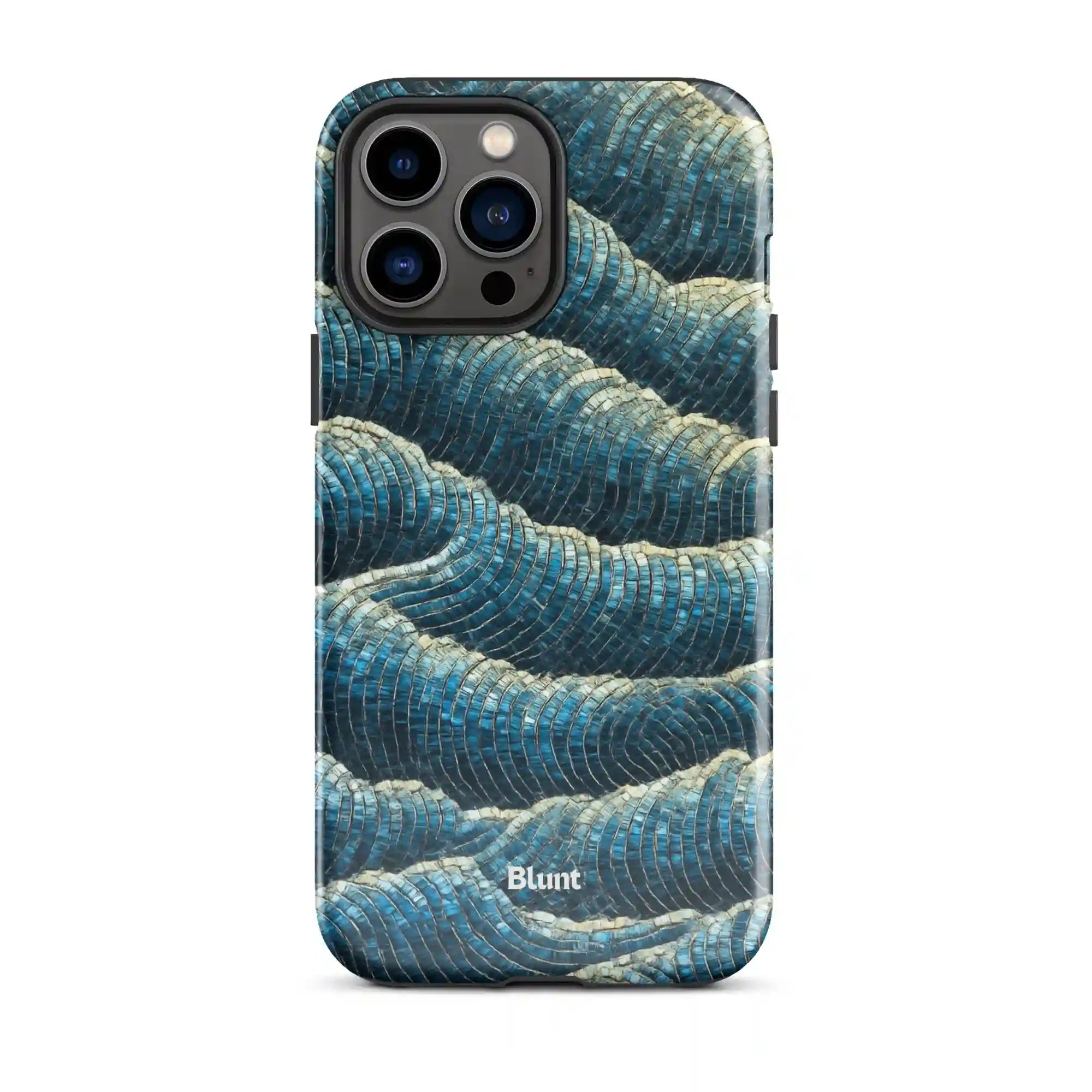bluntcasesus.it.com