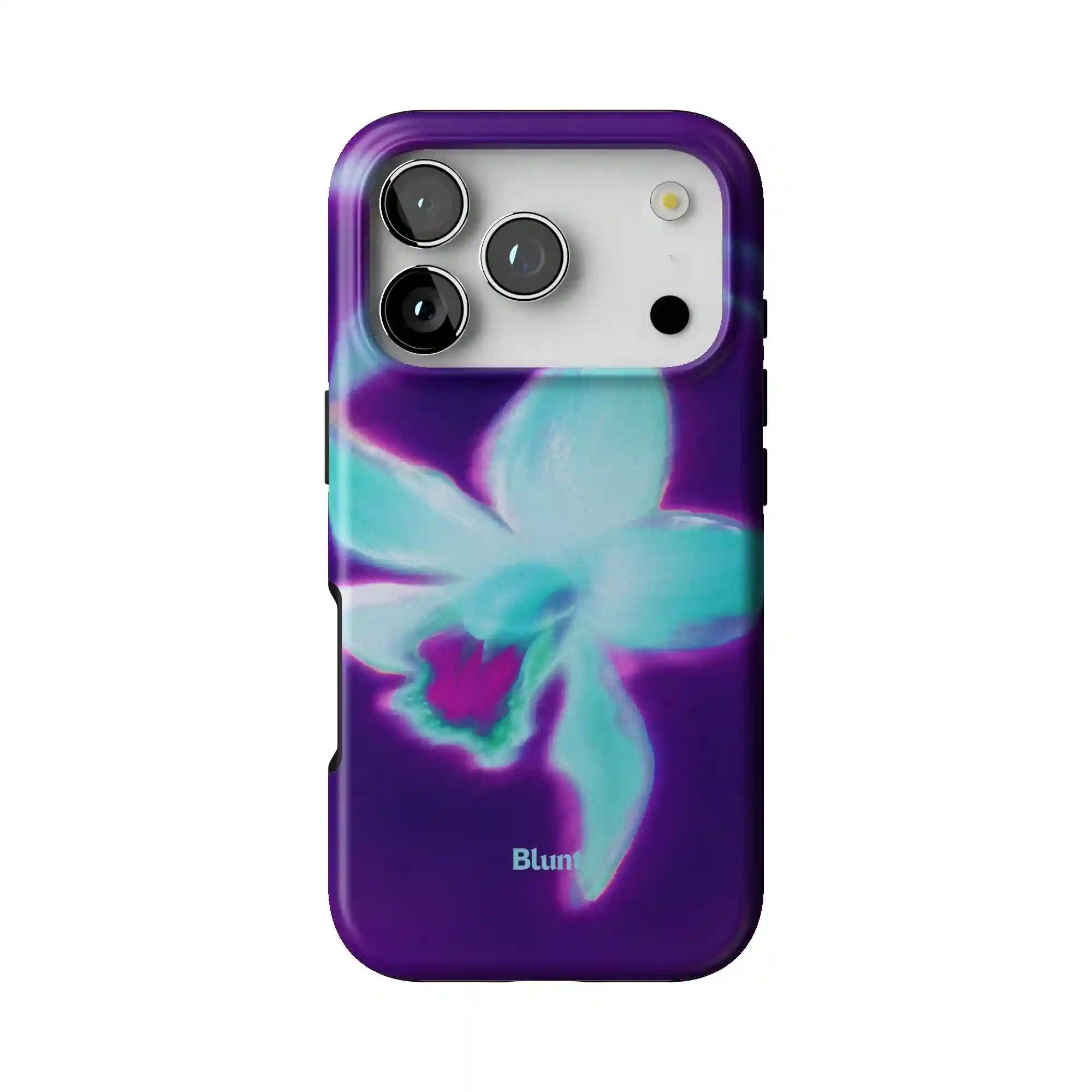 bluntcasesus.it.com