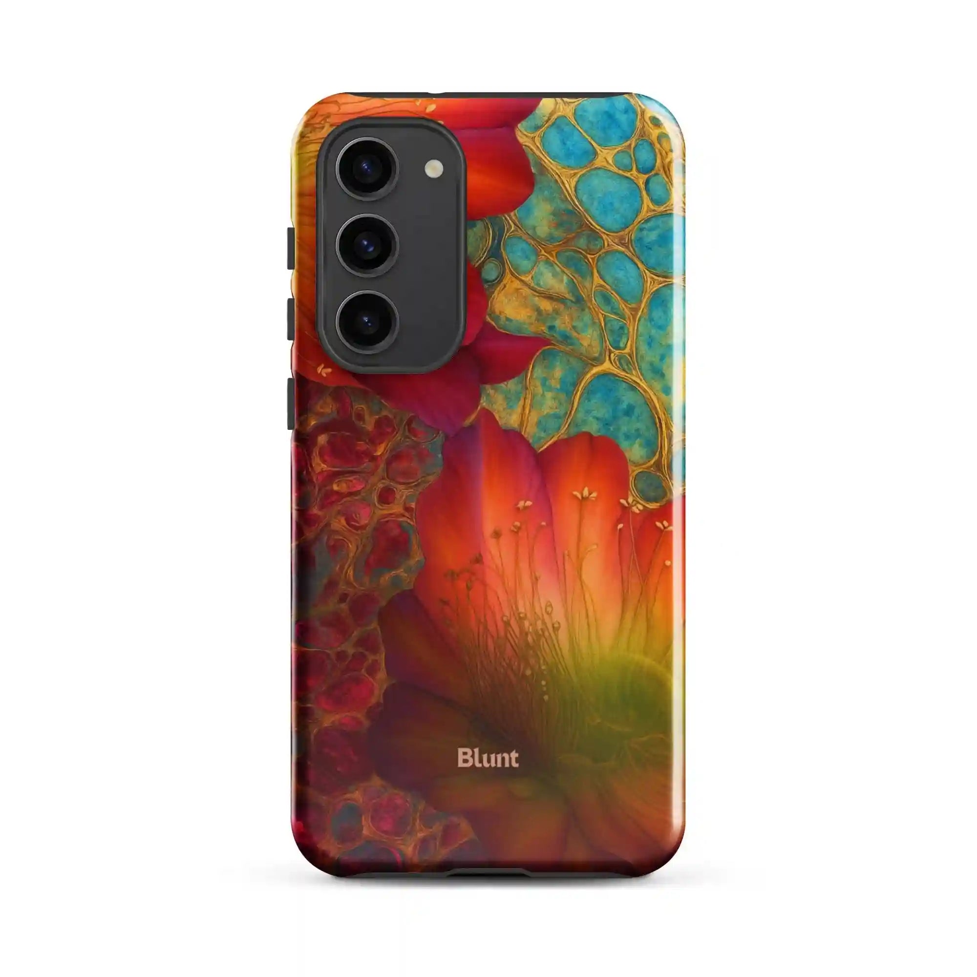 bluntcasesus.it.com
