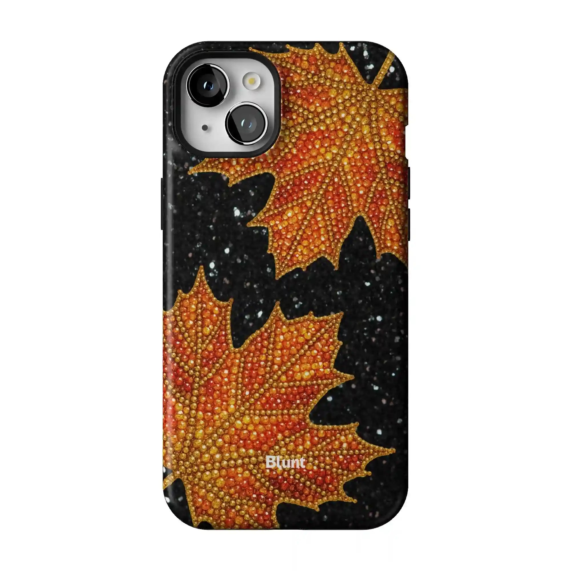bluntcasesus.it.com