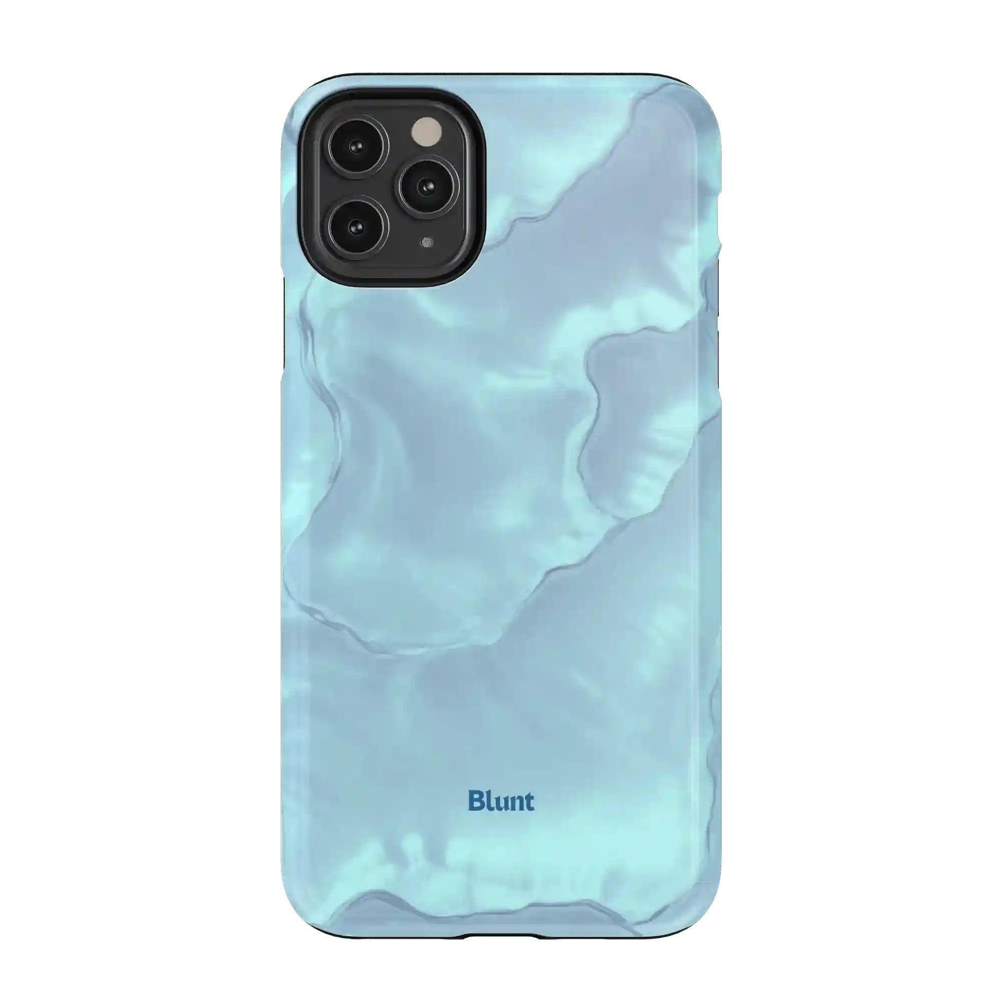 bluntcasesus.it.com