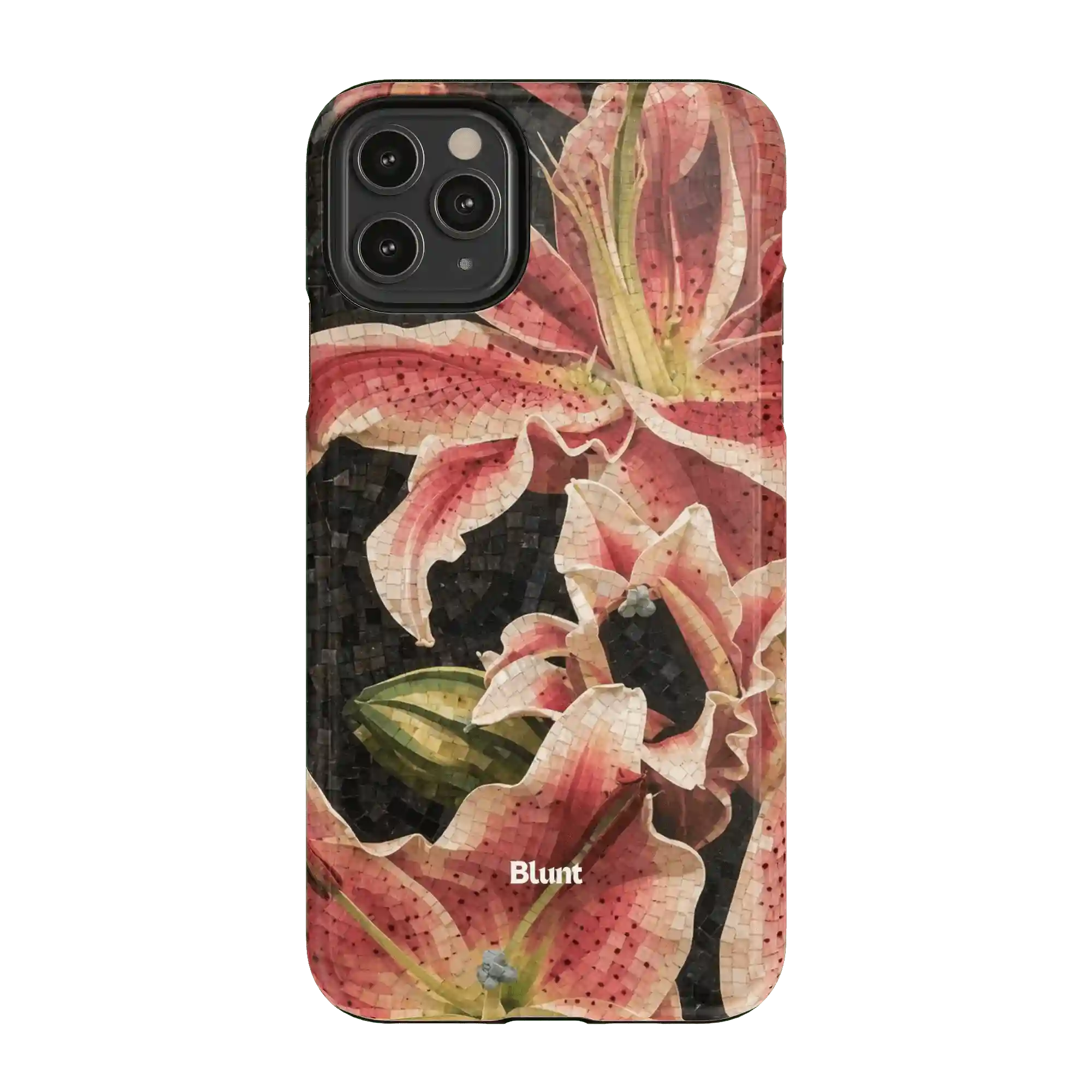 bluntcasesus.it.com
