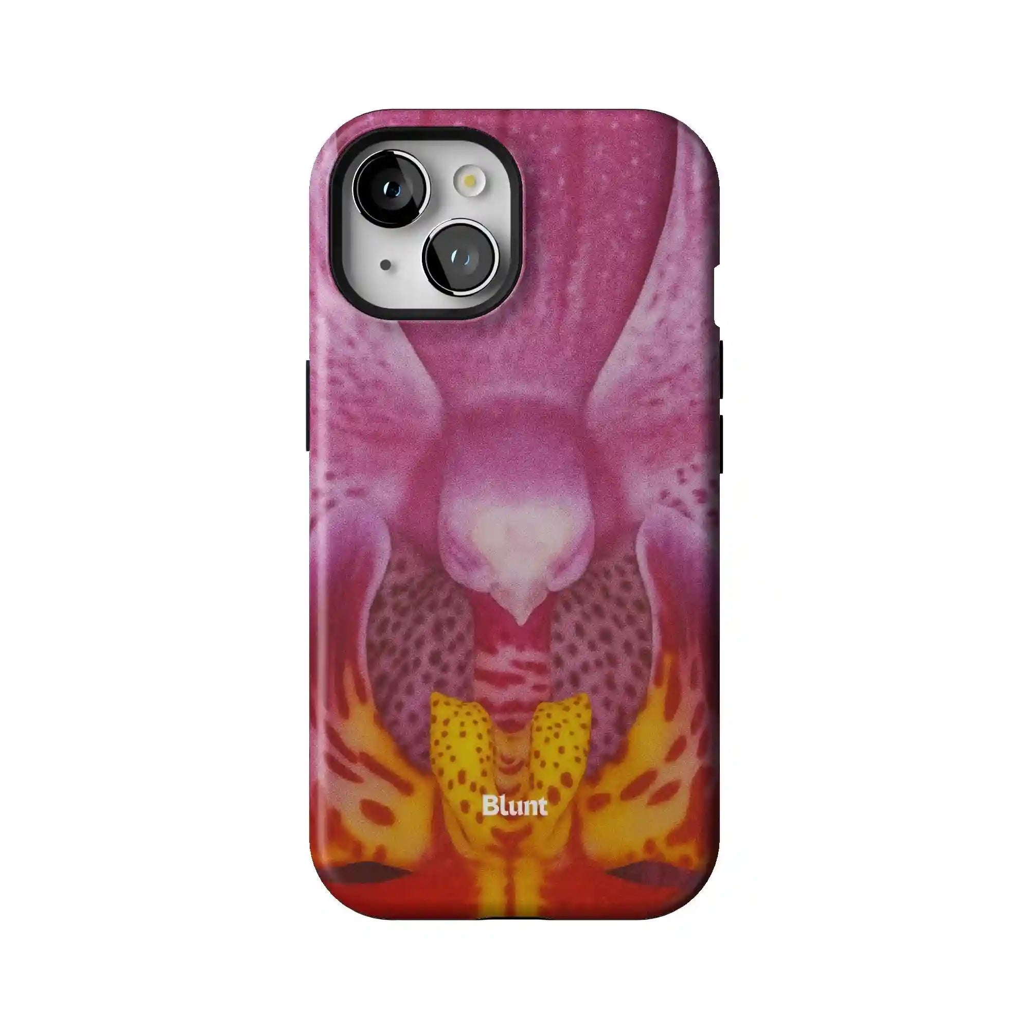 bluntcasesus.it.com