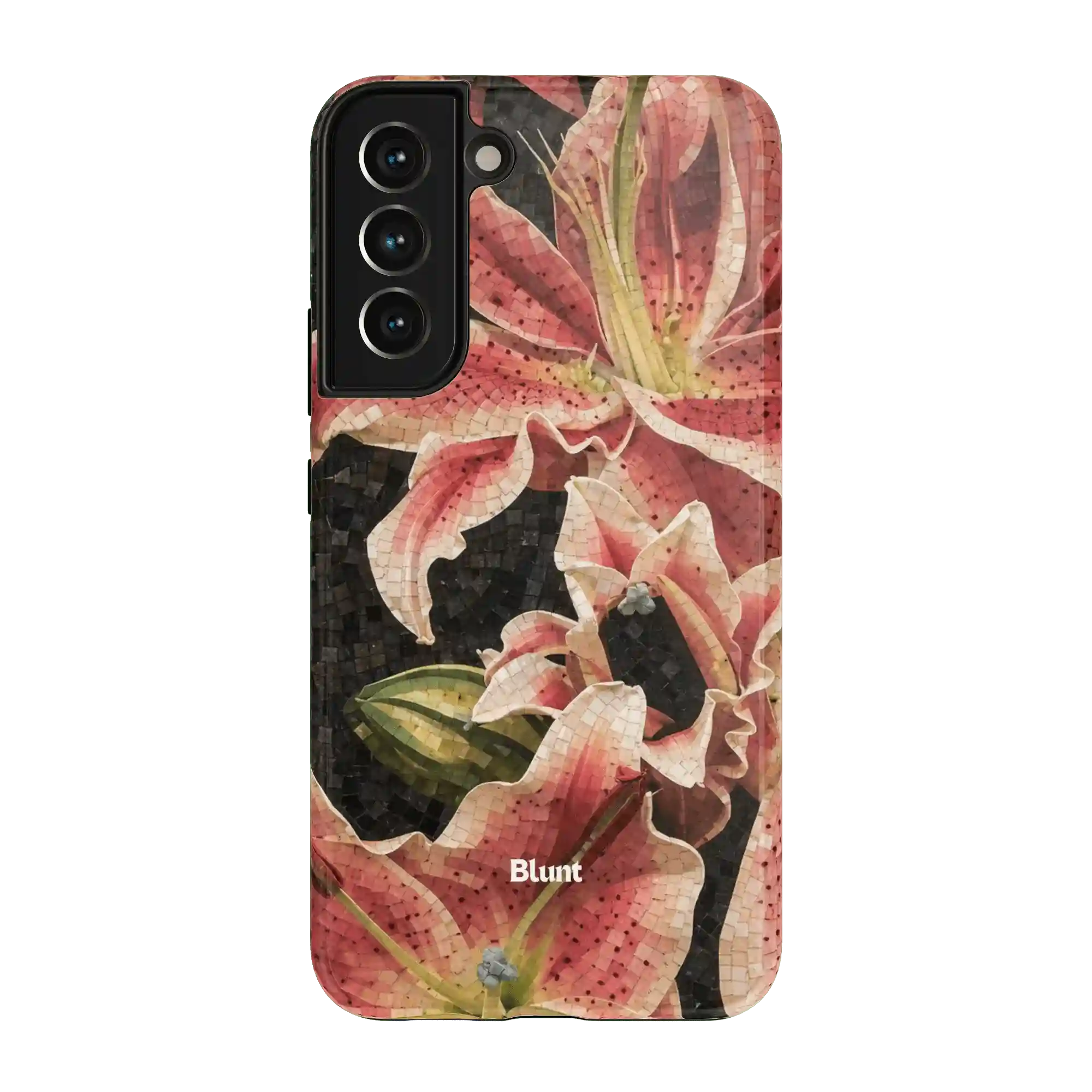 bluntcasesus.it.com