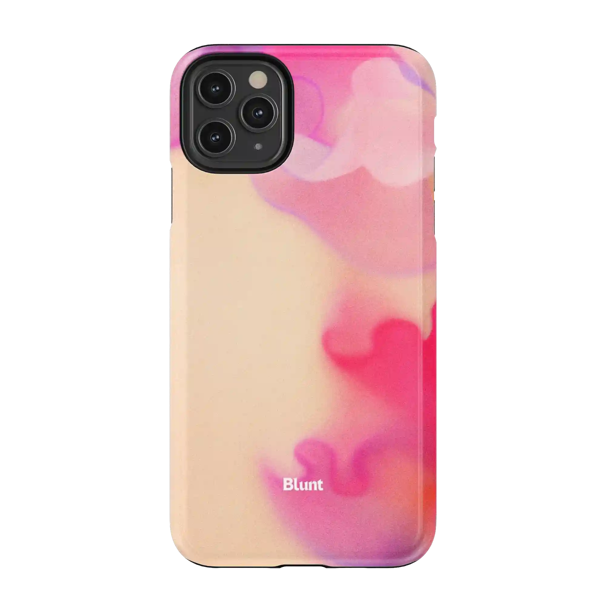bluntcasesus.it.com