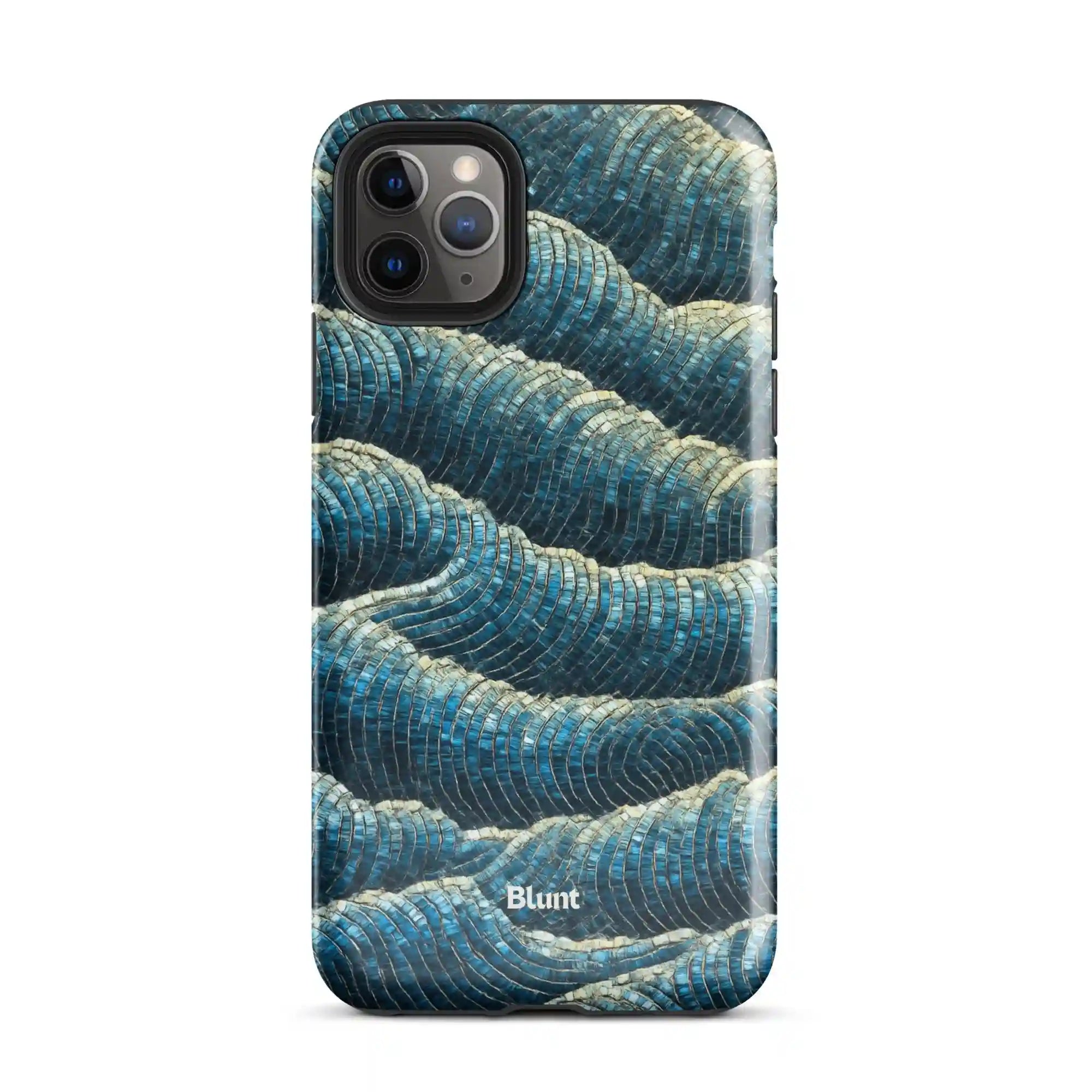 bluntcasesus.it.com