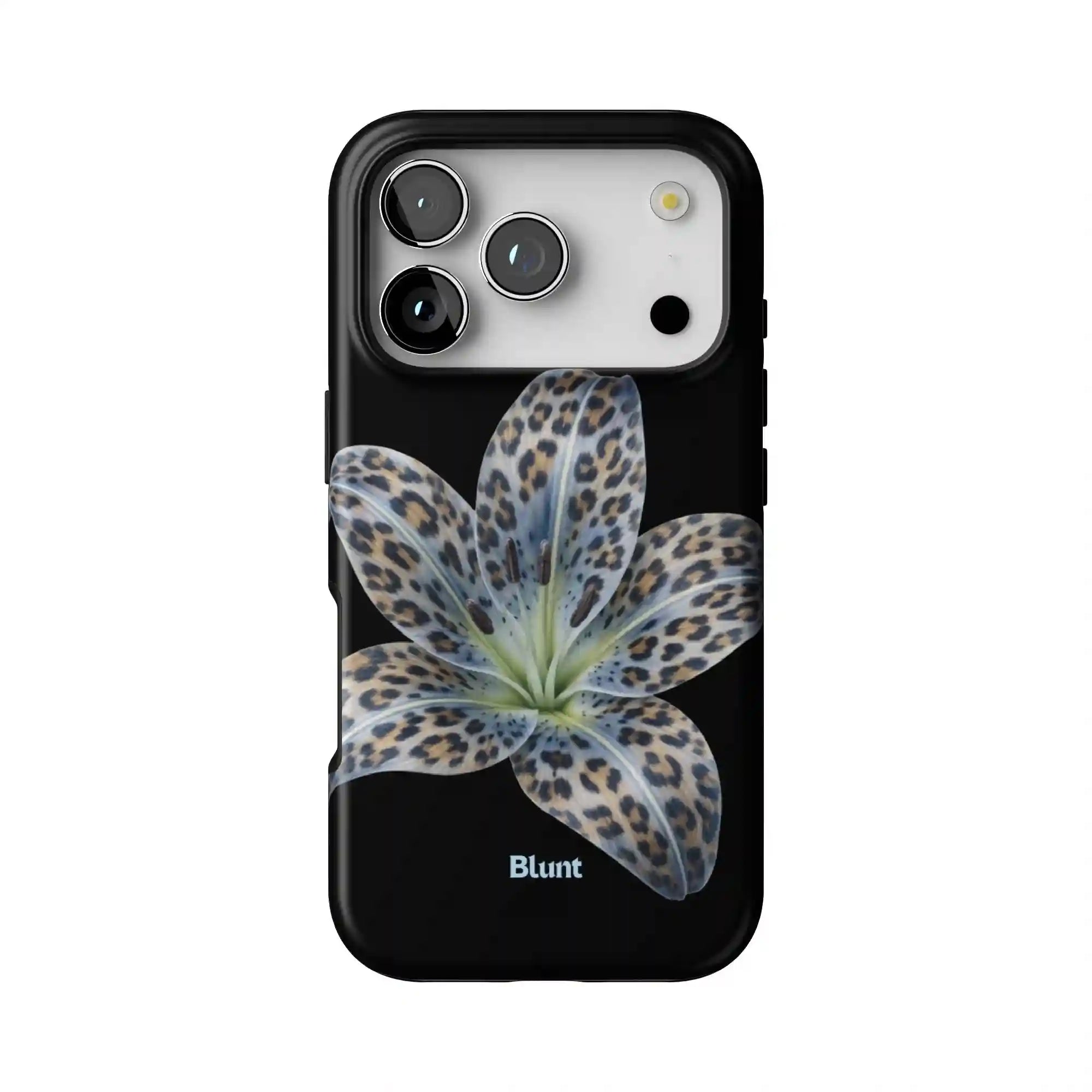 bluntcasesus.it.com