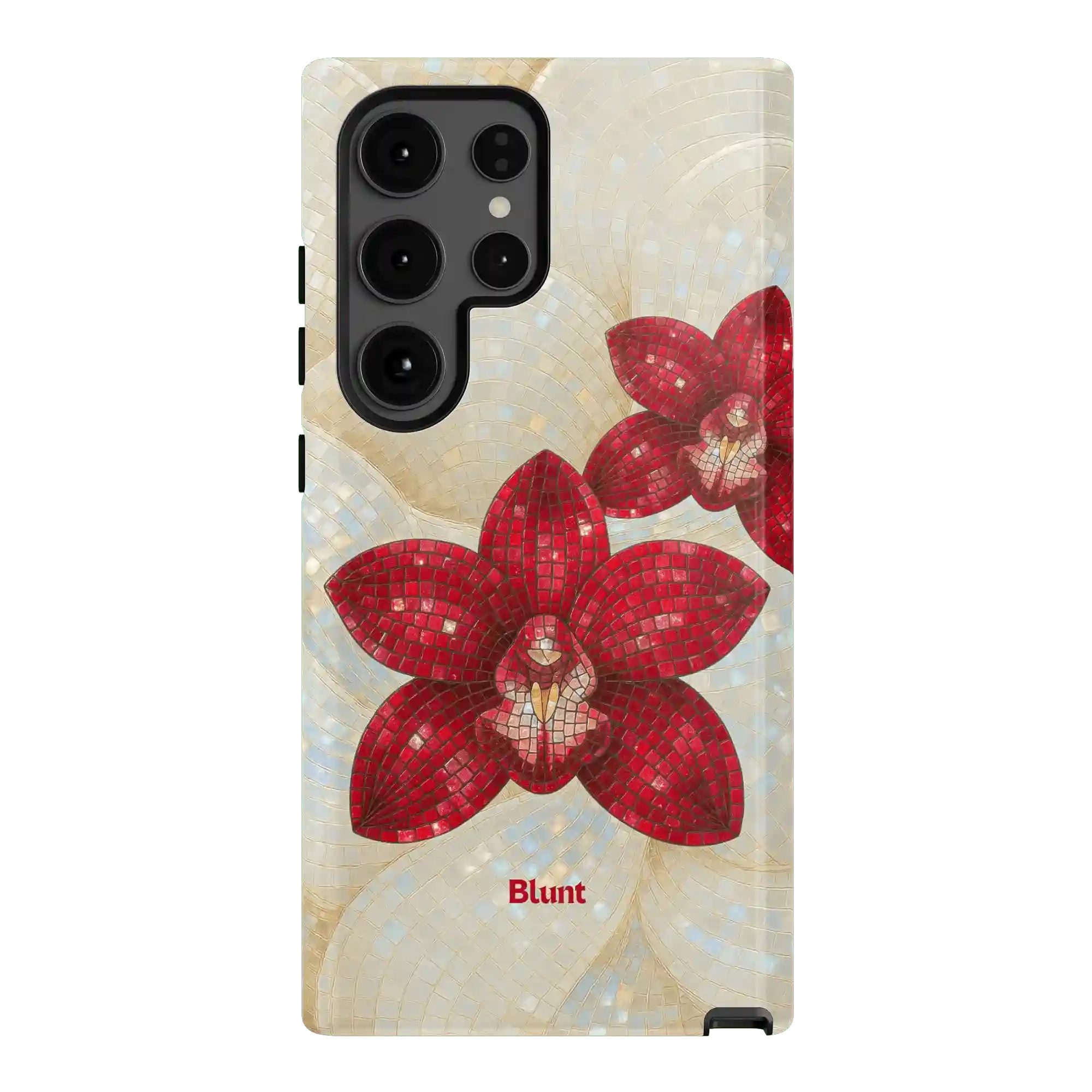 bluntcasesus.it.com