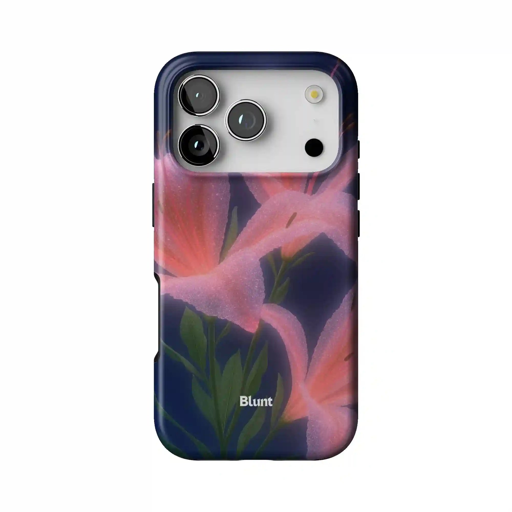 bluntcasesus.it.com