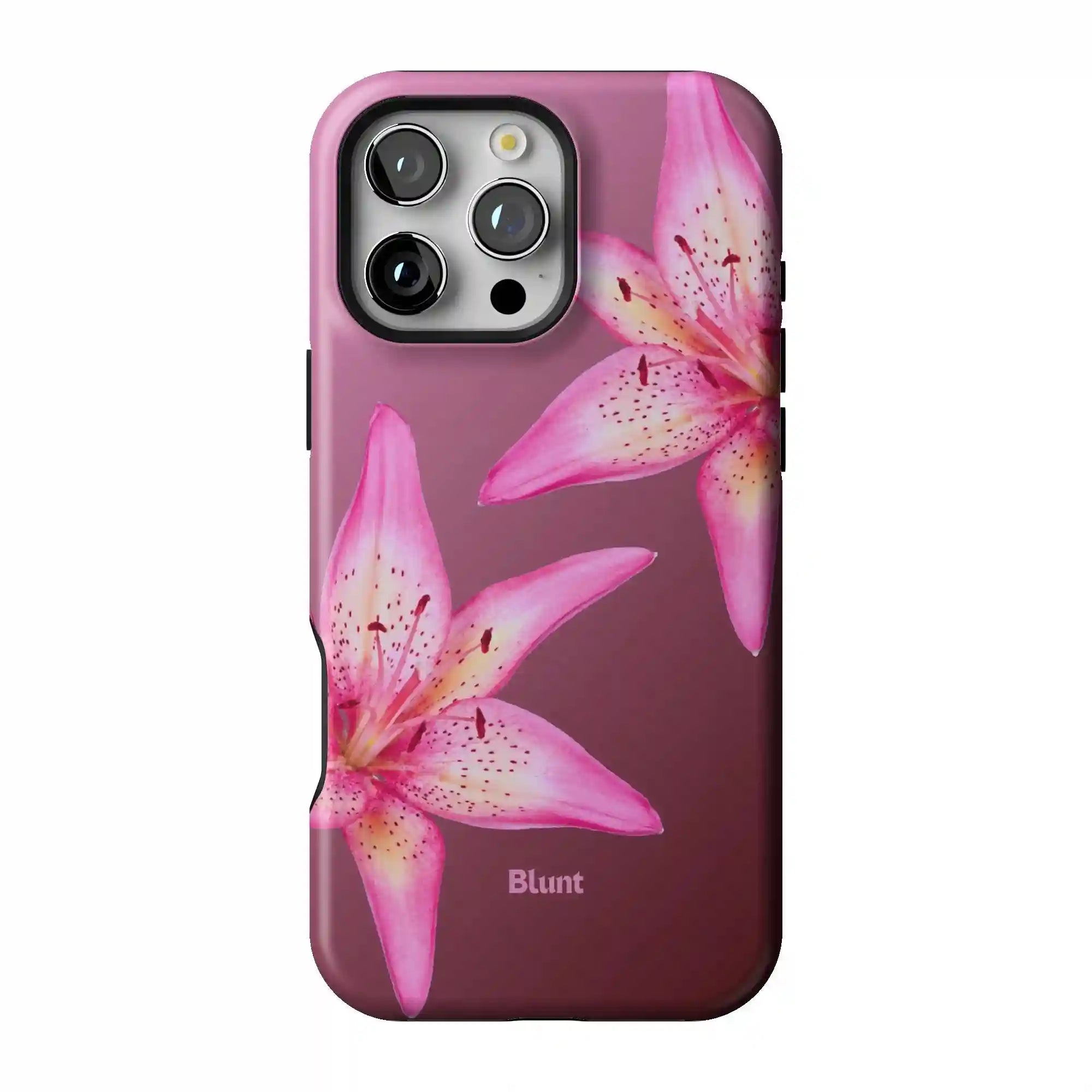 bluntcasesus.it.com