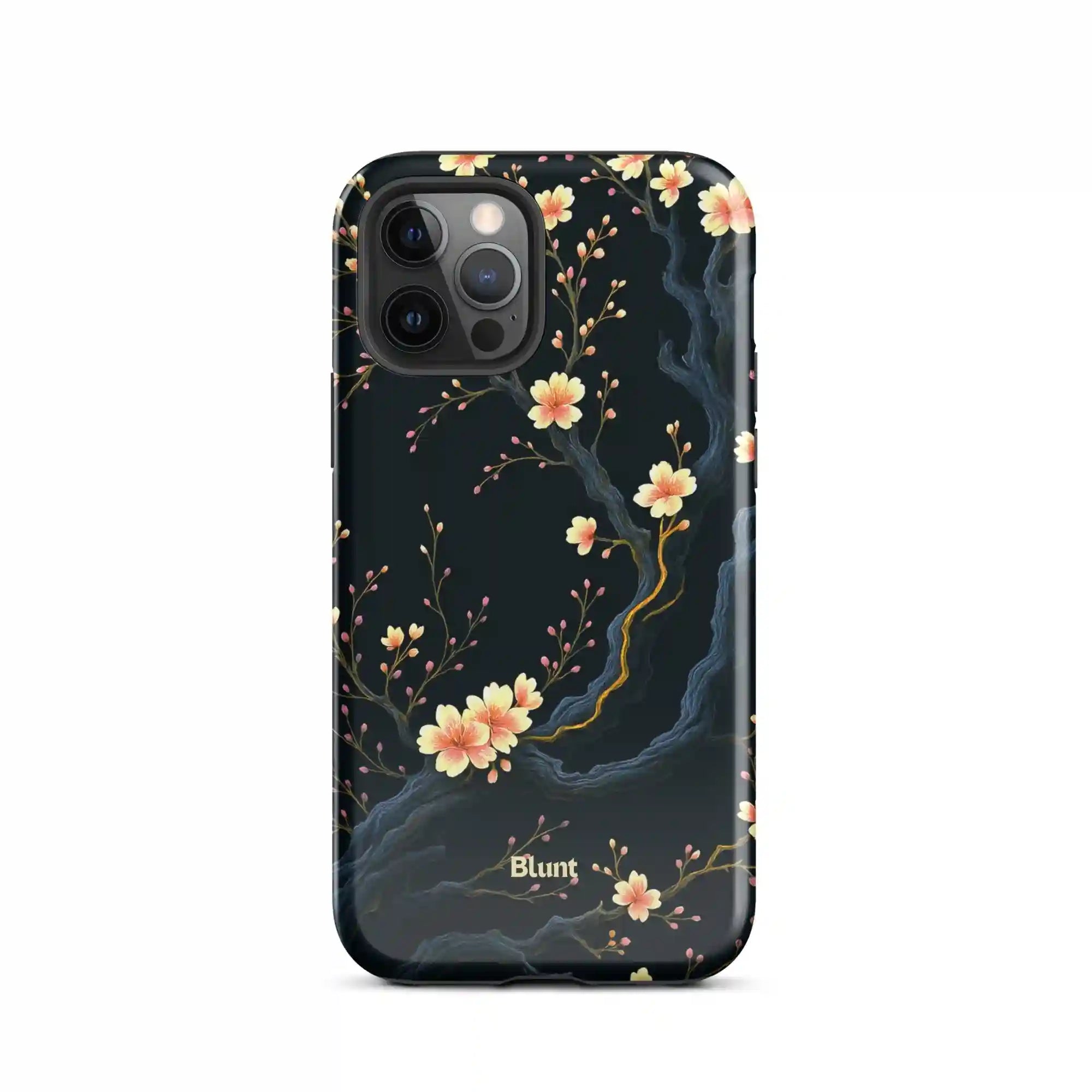 bluntcasesus.it.com