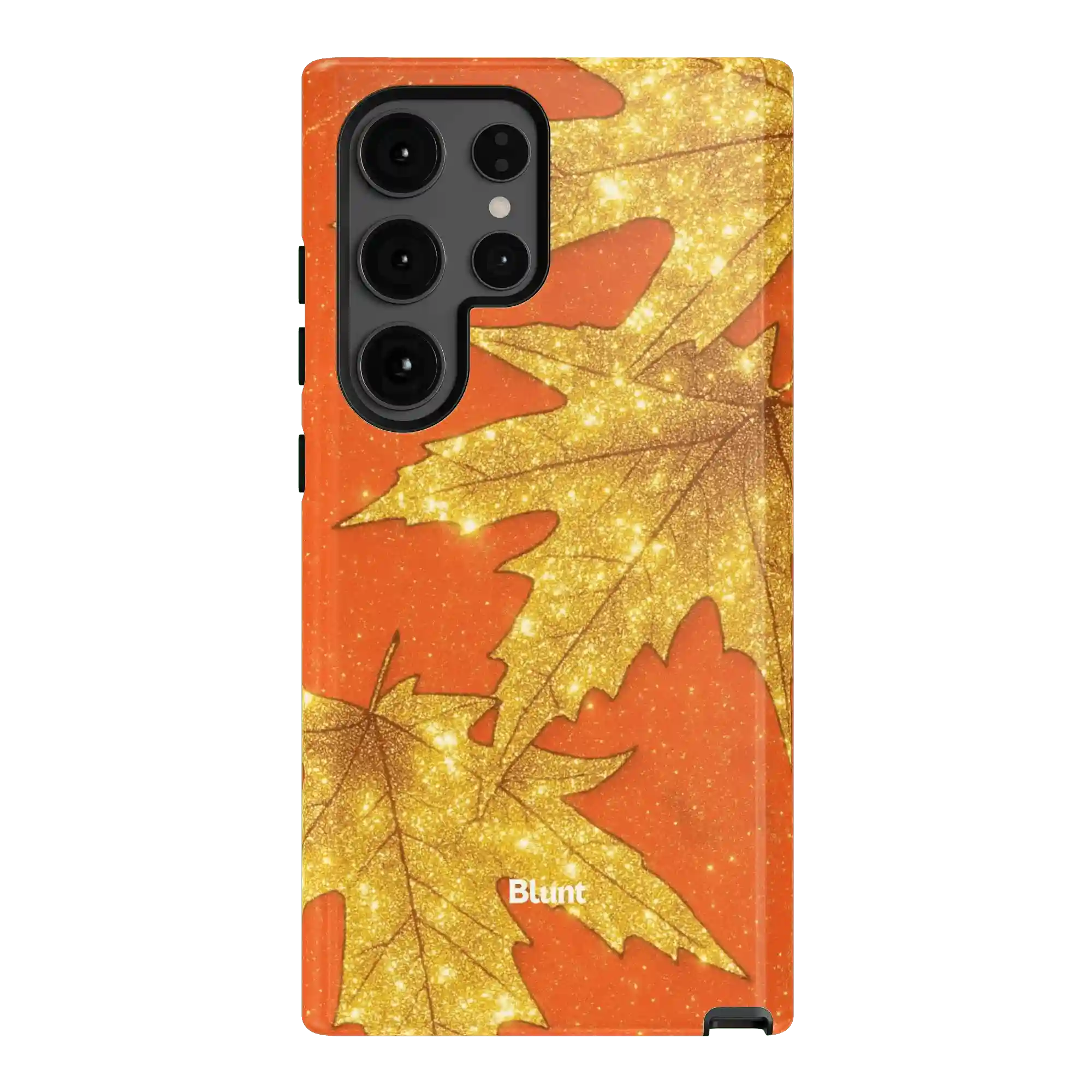 bluntcasesus.it.com