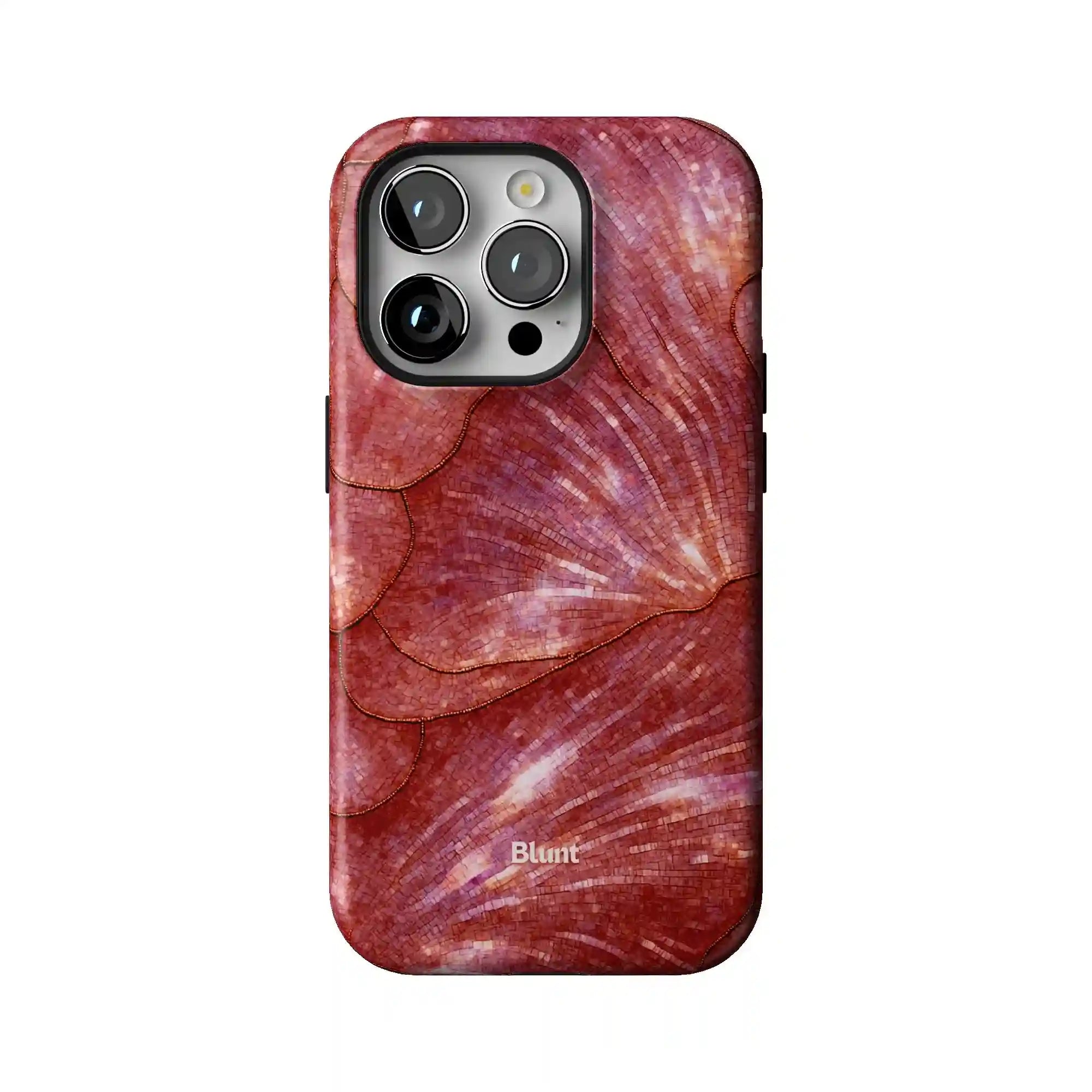bluntcasesus.it.com