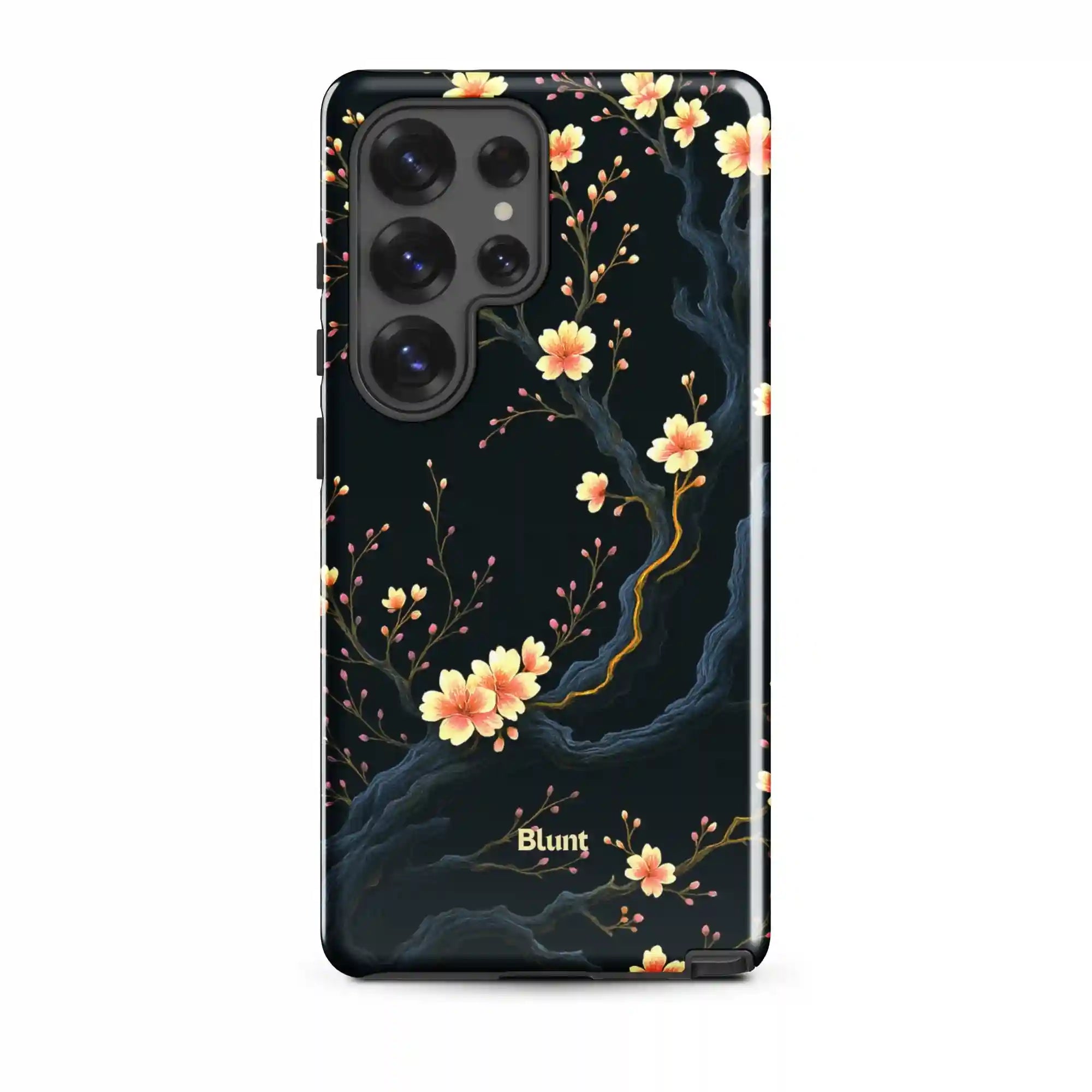 bluntcasesus.it.com