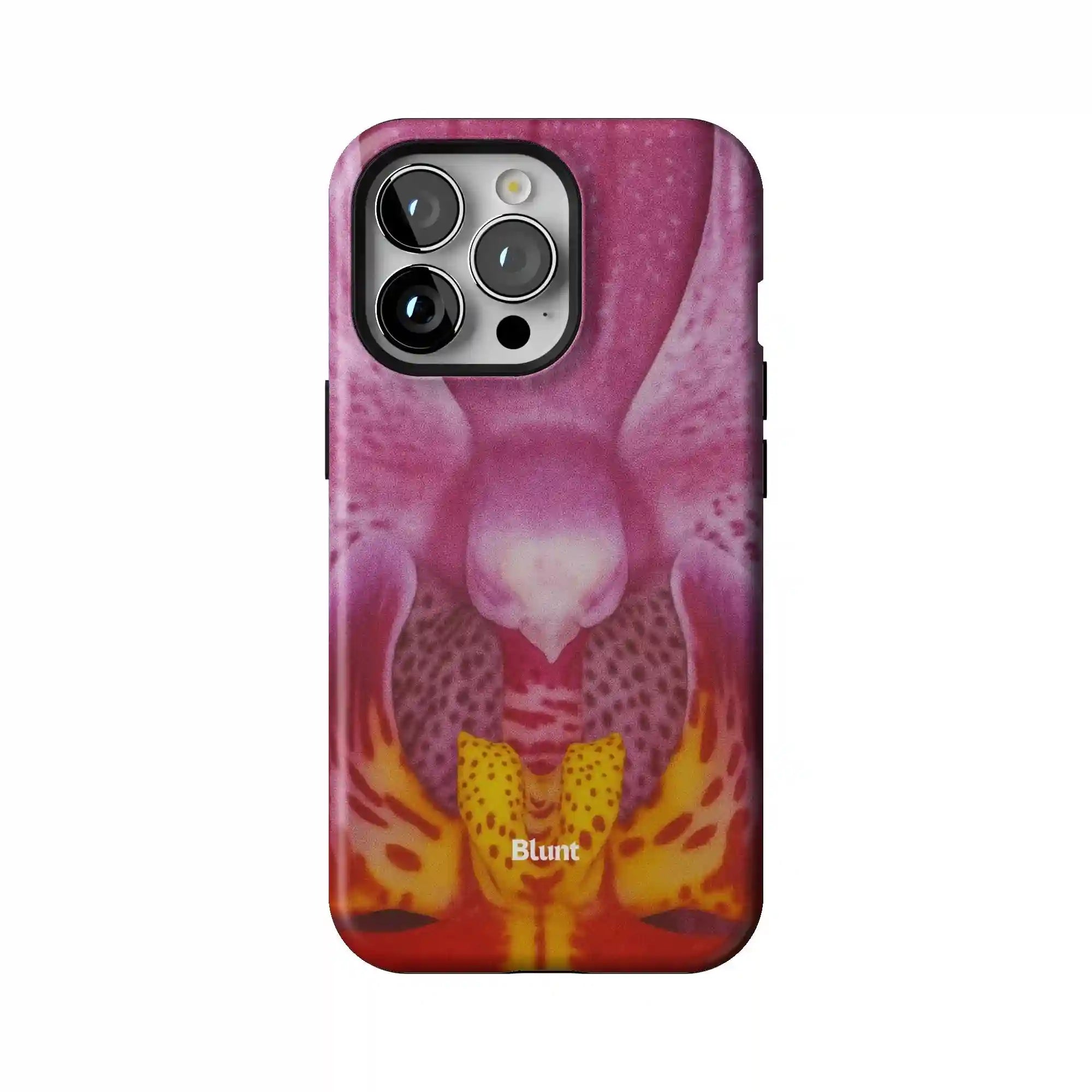 bluntcasesus.it.com