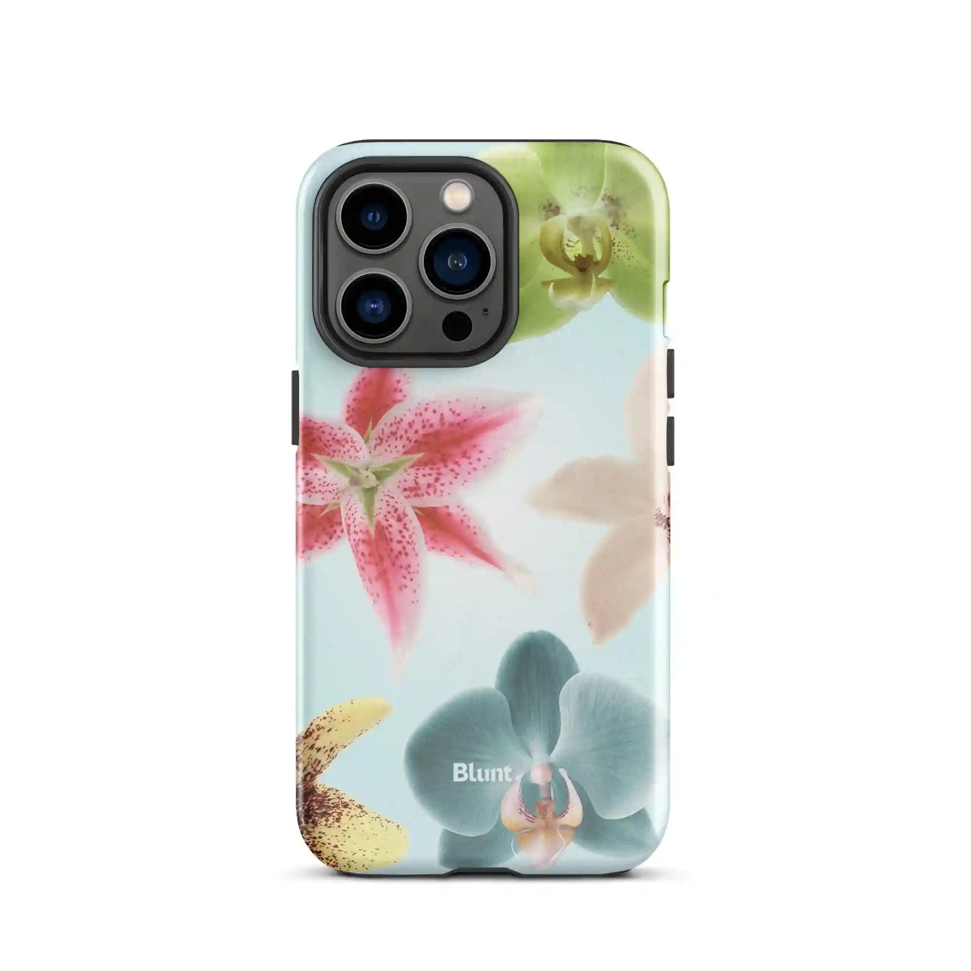 bluntcasesus.it.com