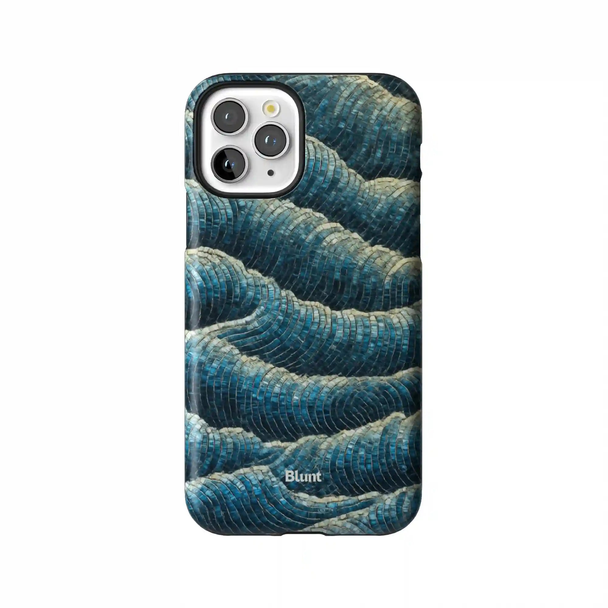 bluntcasesus.it.com