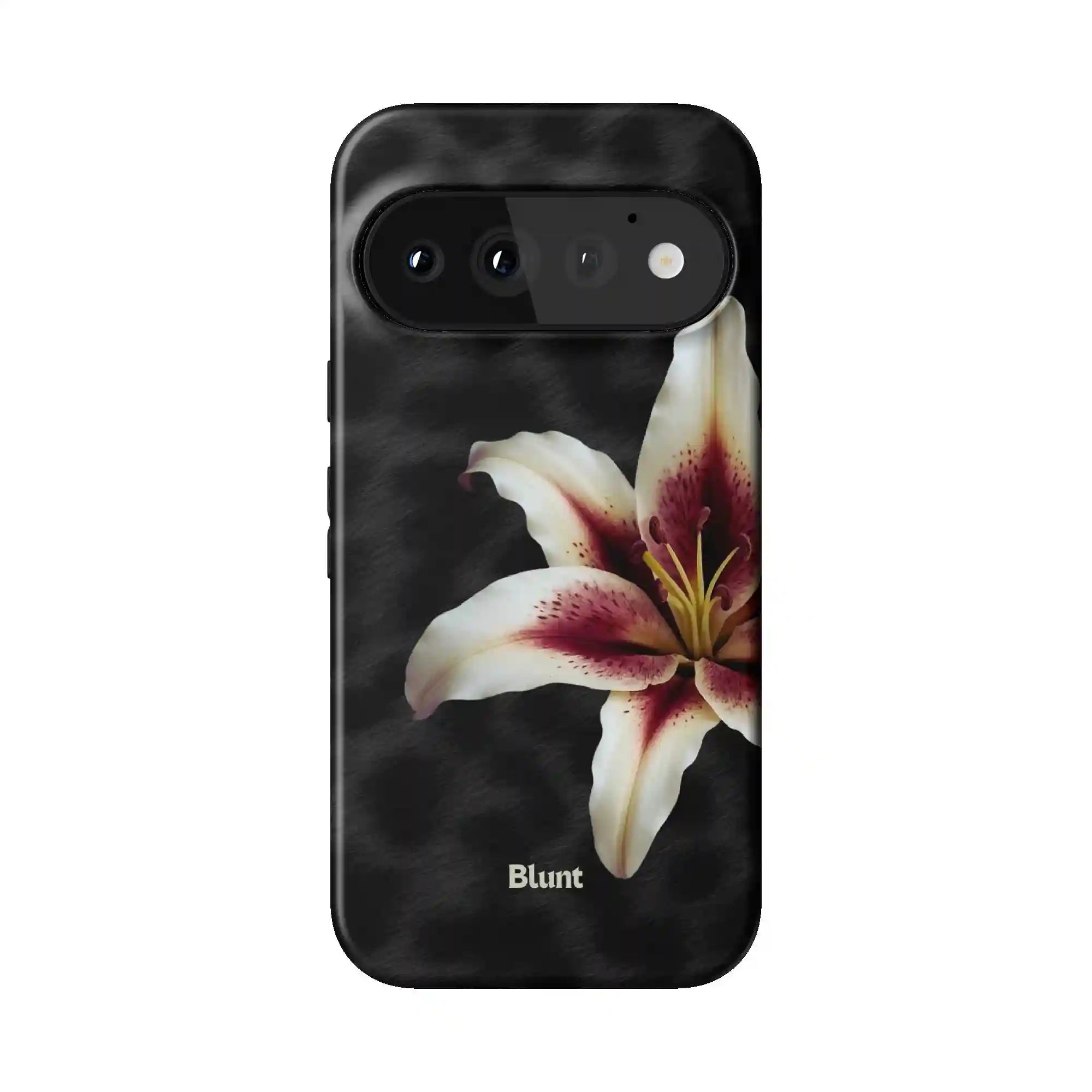 bluntcasesus.it.com