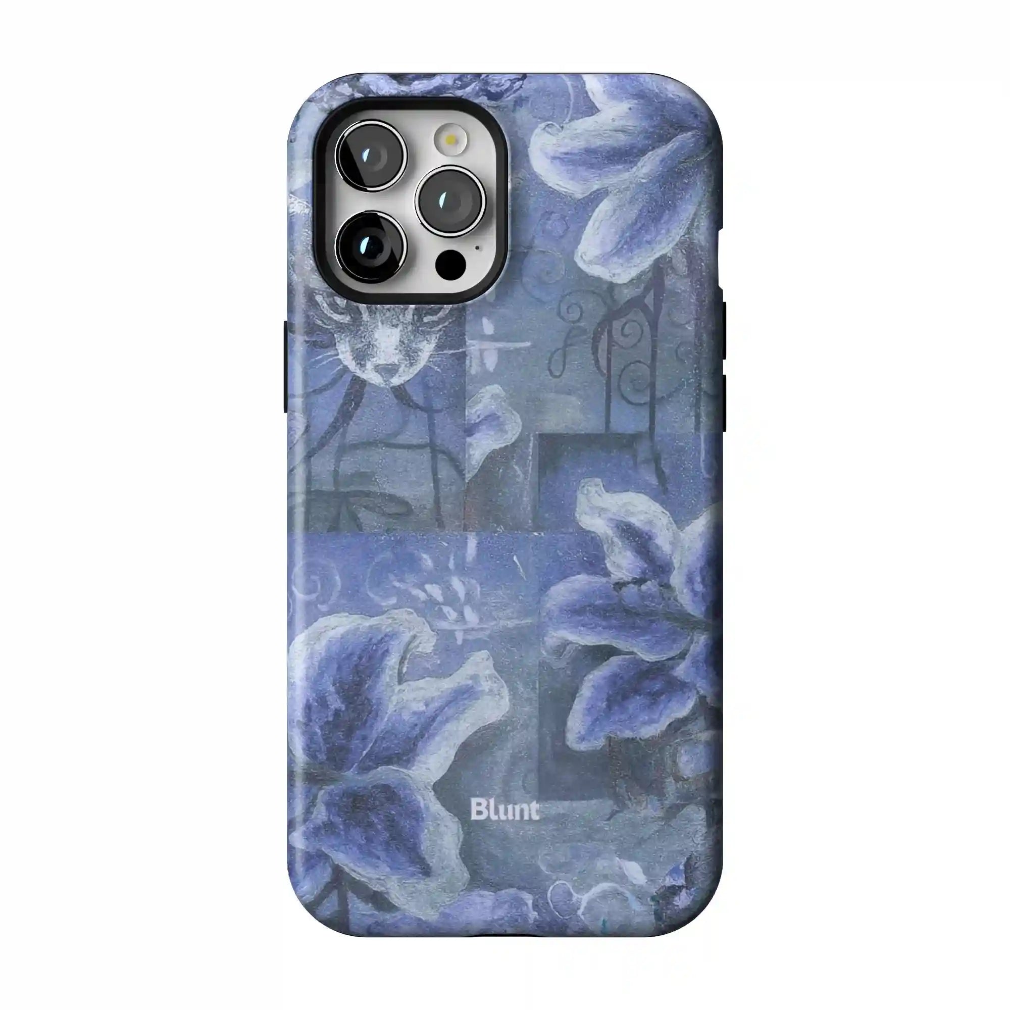 bluntcasesus.it.com