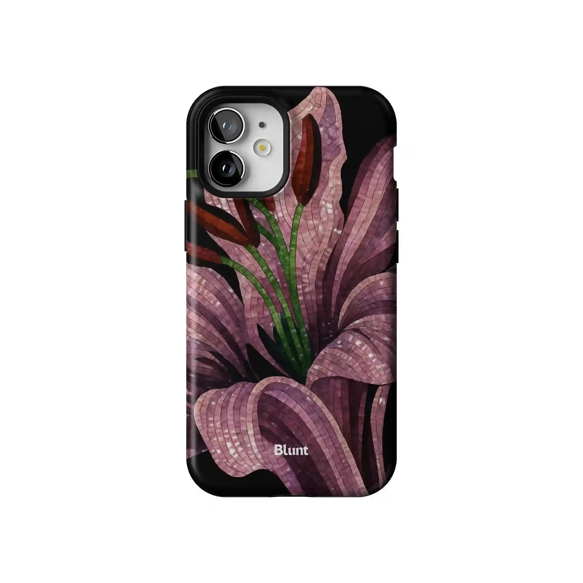 bluntcasesus.it.com