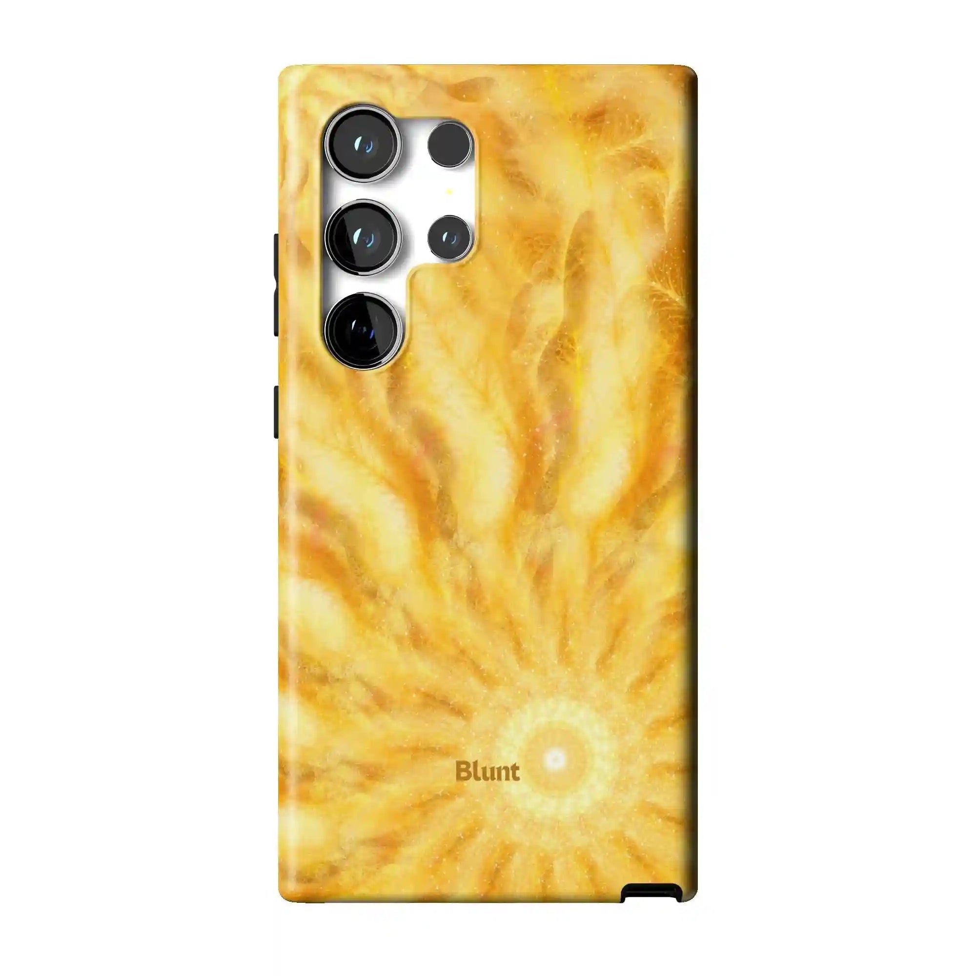 bluntcasesus.it.com