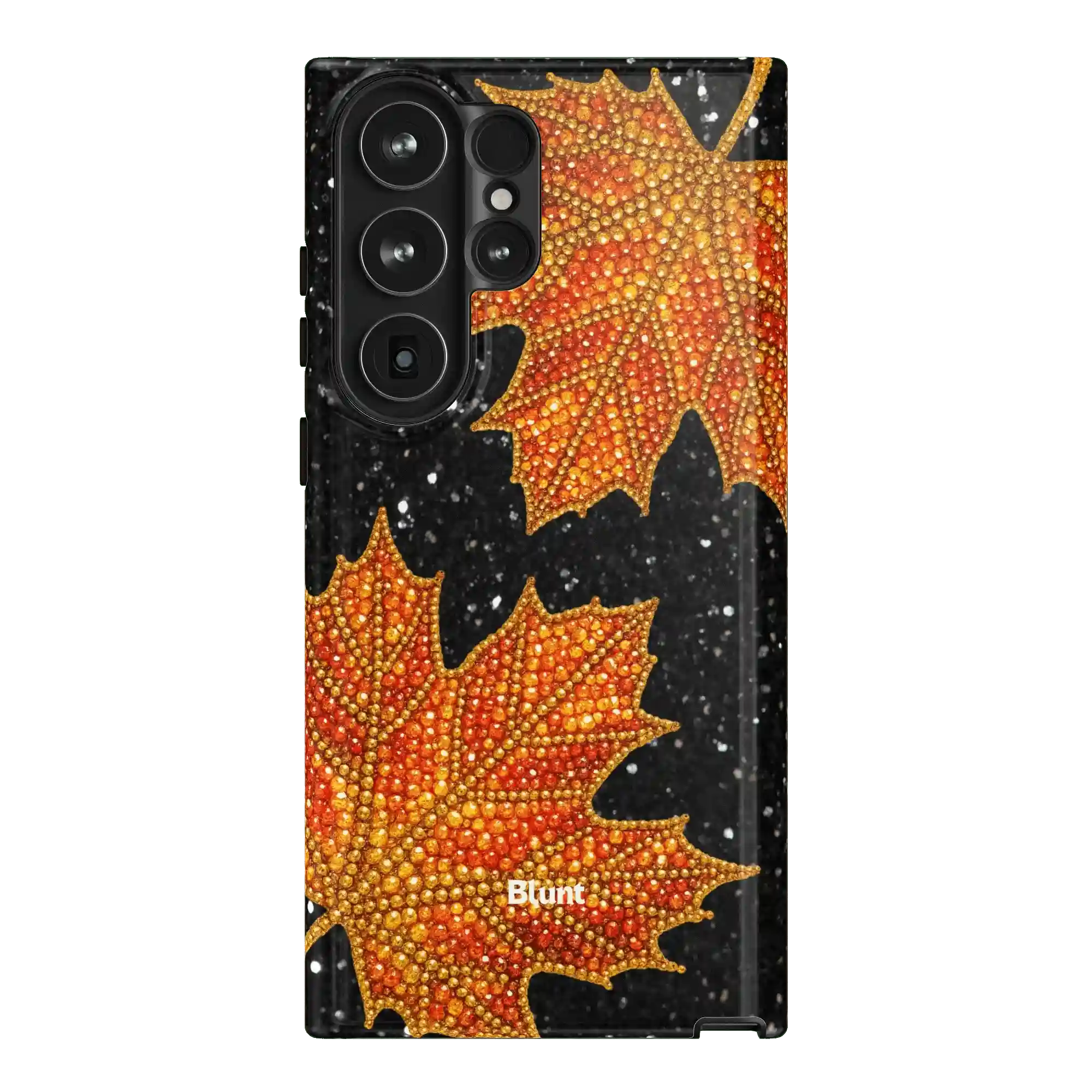 bluntcasesus.it.com