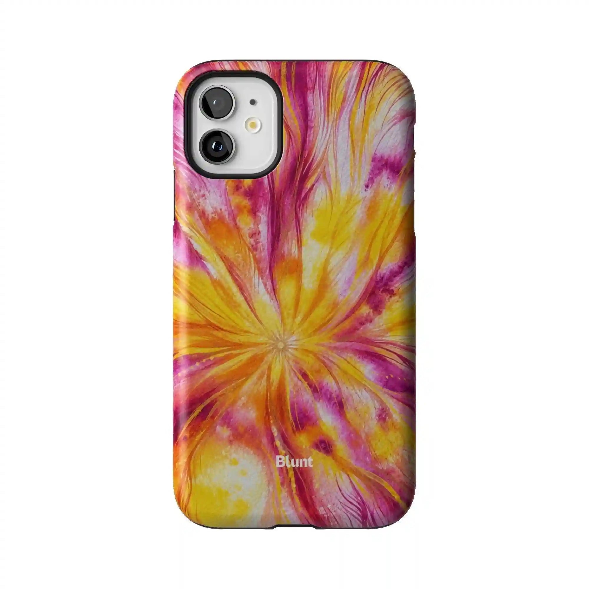 bluntcasesus.it.com