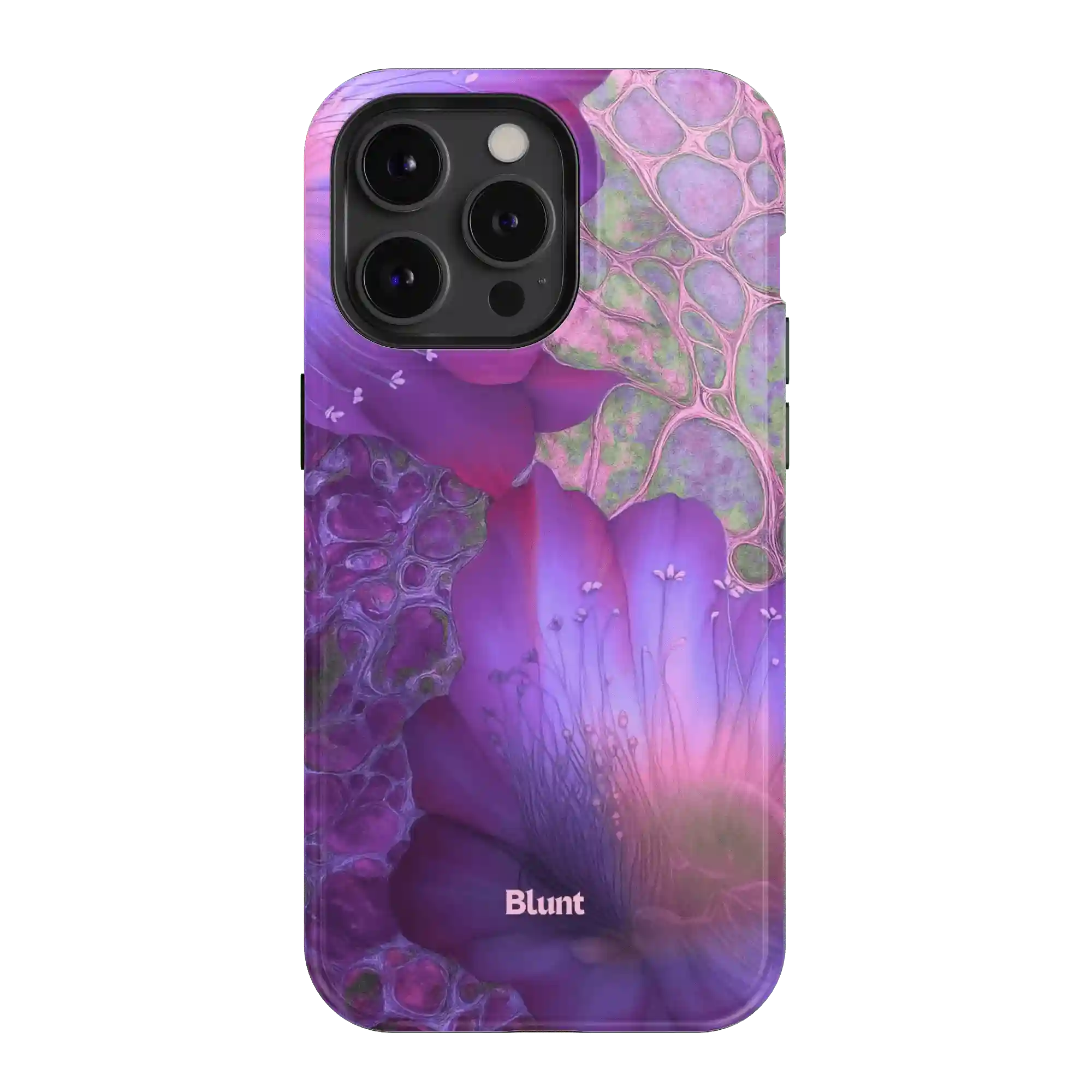 bluntcasesus.it.com