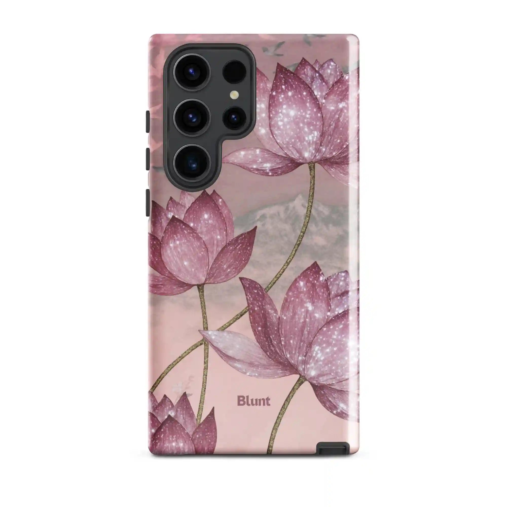 bluntcasesus.it.com