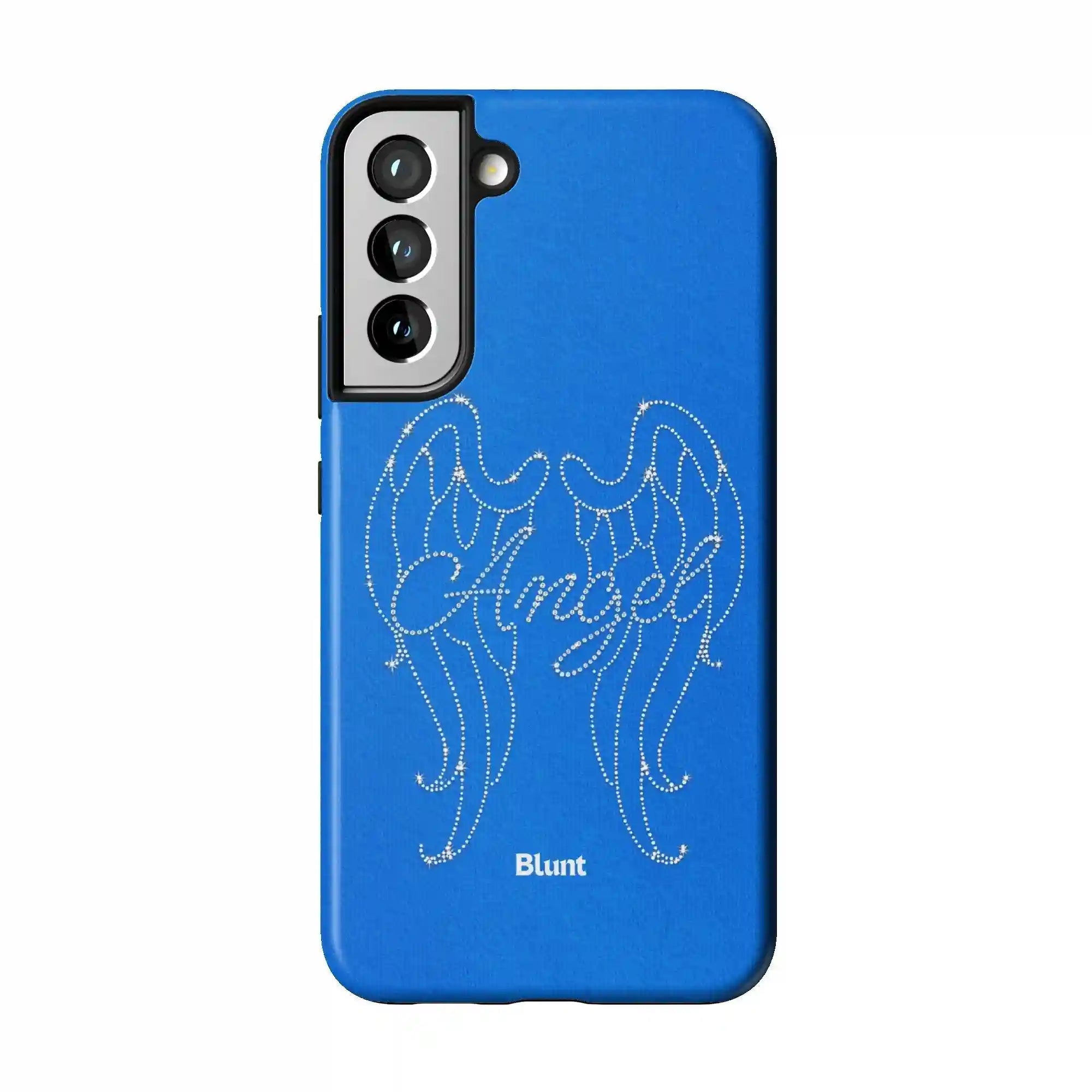 bluntcasesus.it.com