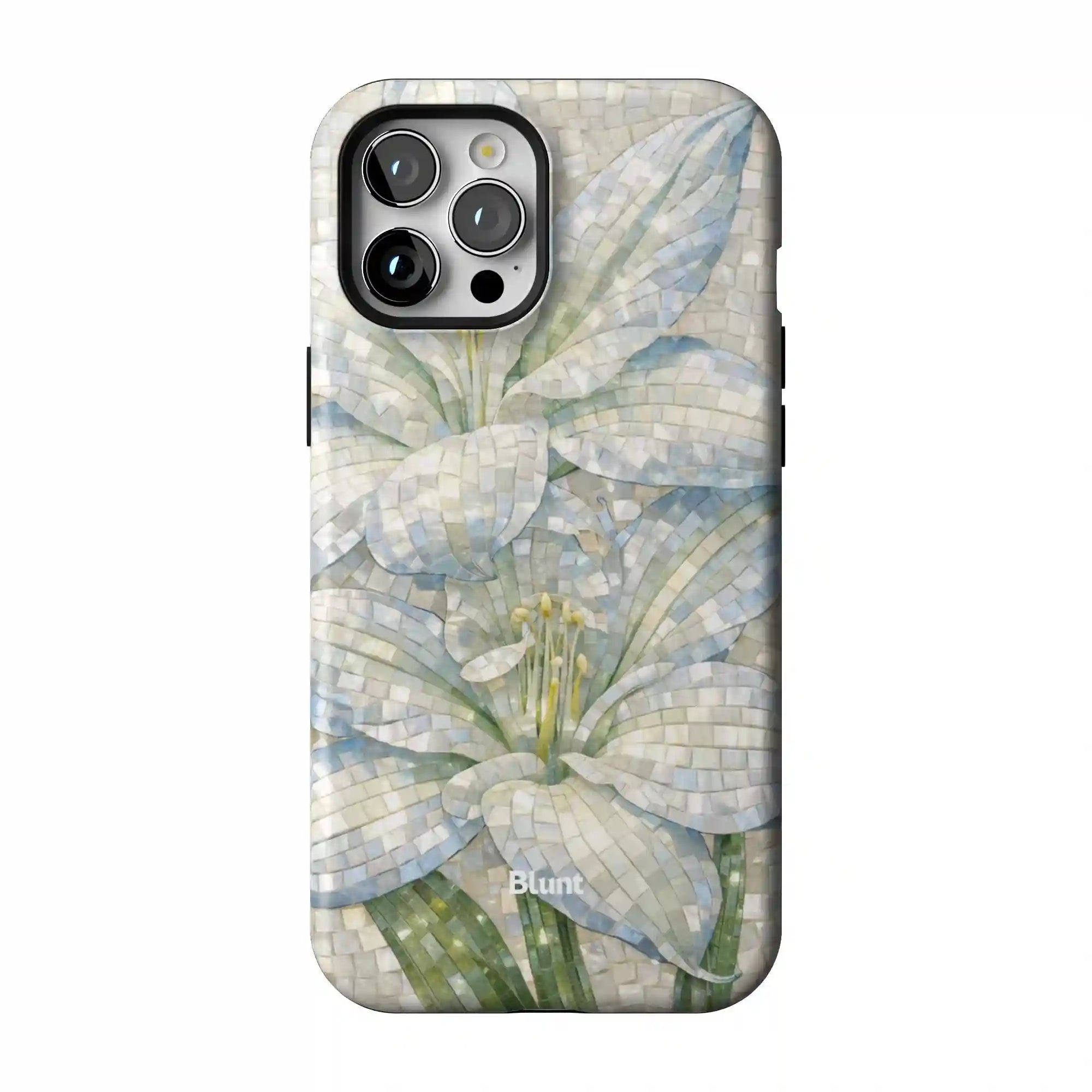 bluntcasesus.it.com