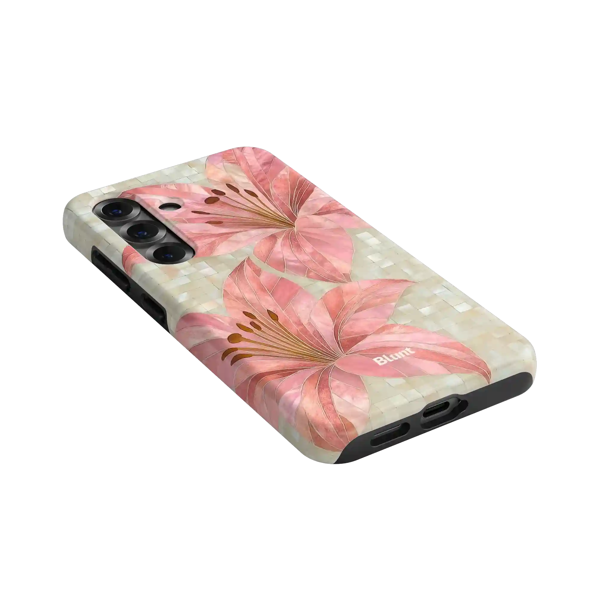 bluntcasesus.it.com